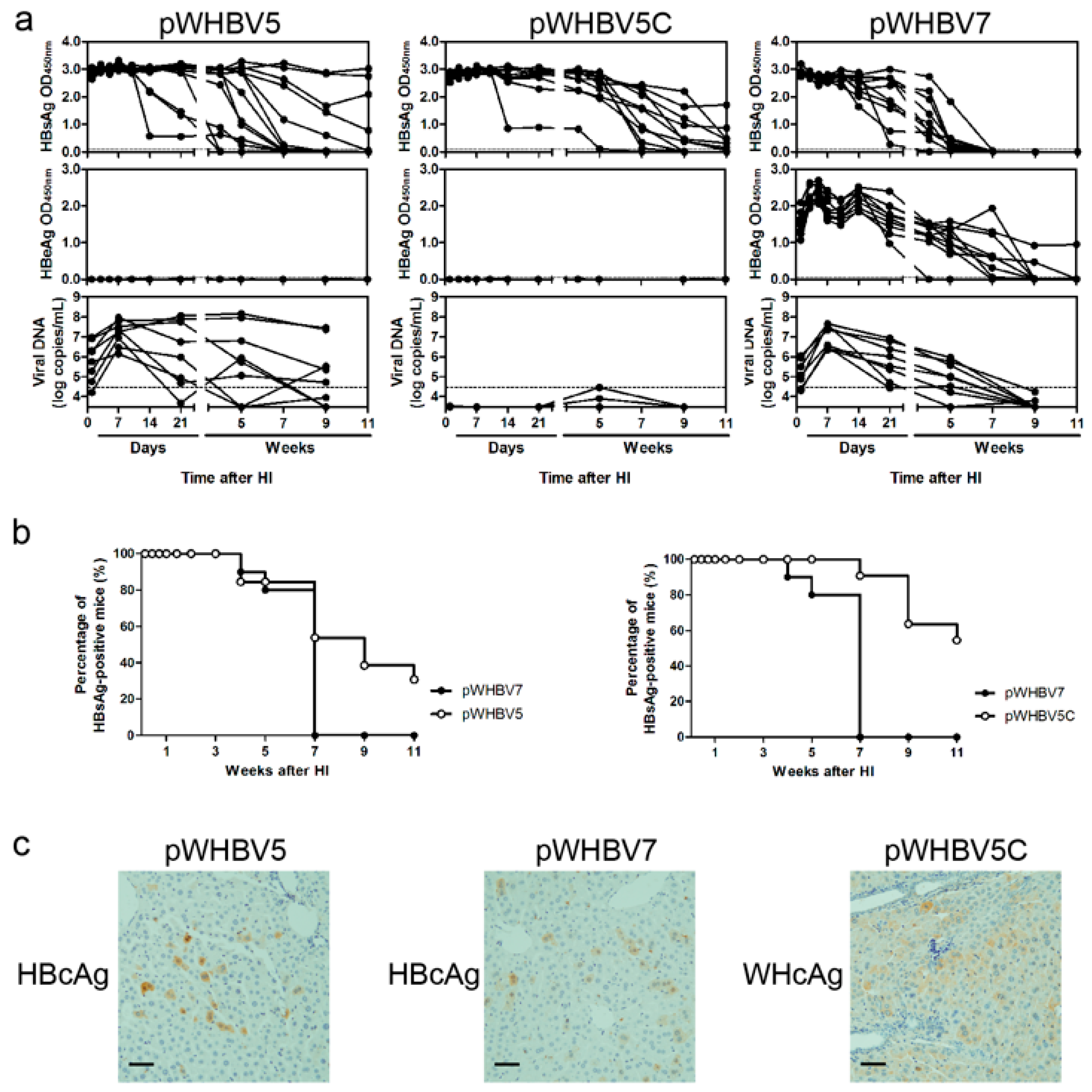 Viruses 09 00035 g004