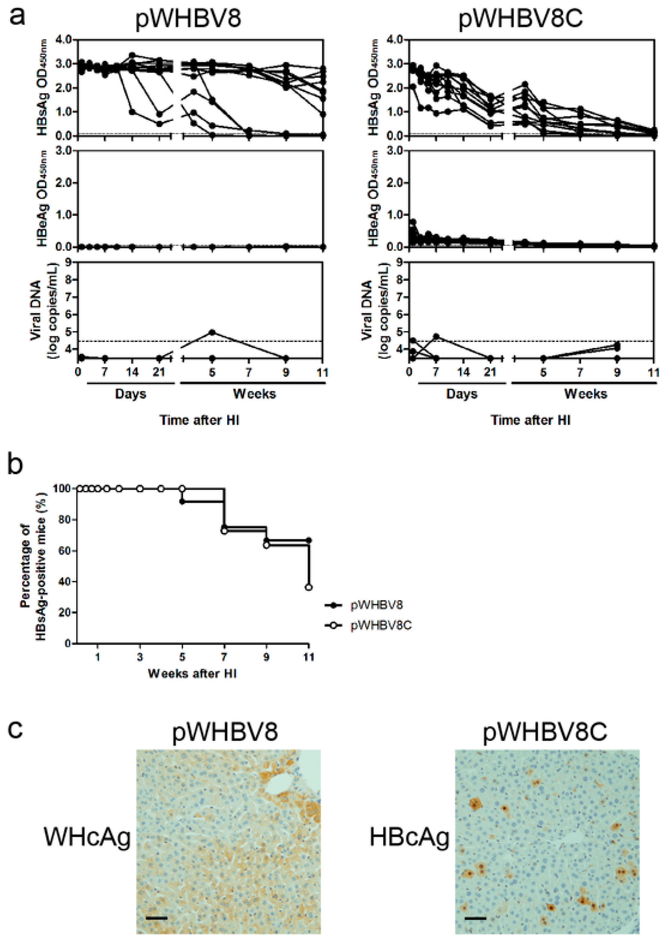 Viruses 09 00035 g005