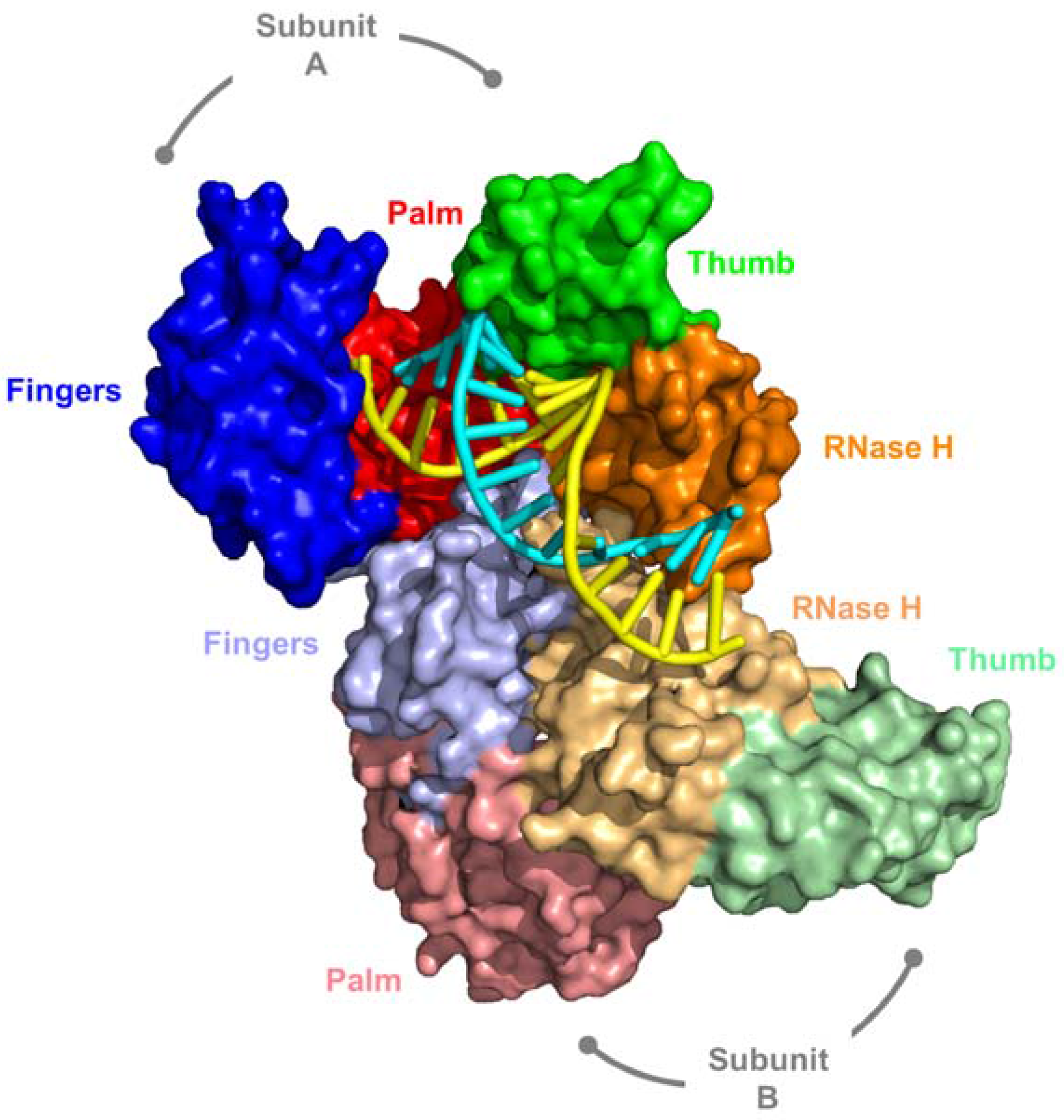 Viruses 09 00044 g002