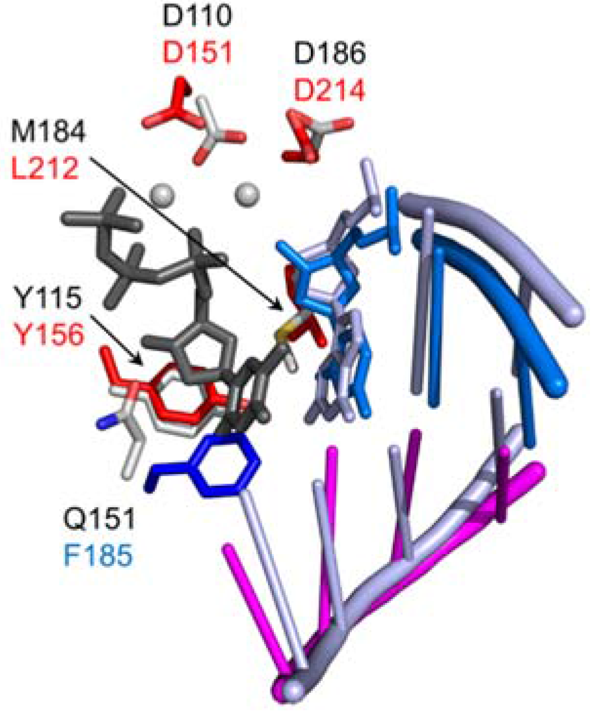 Viruses 09 00044 g004