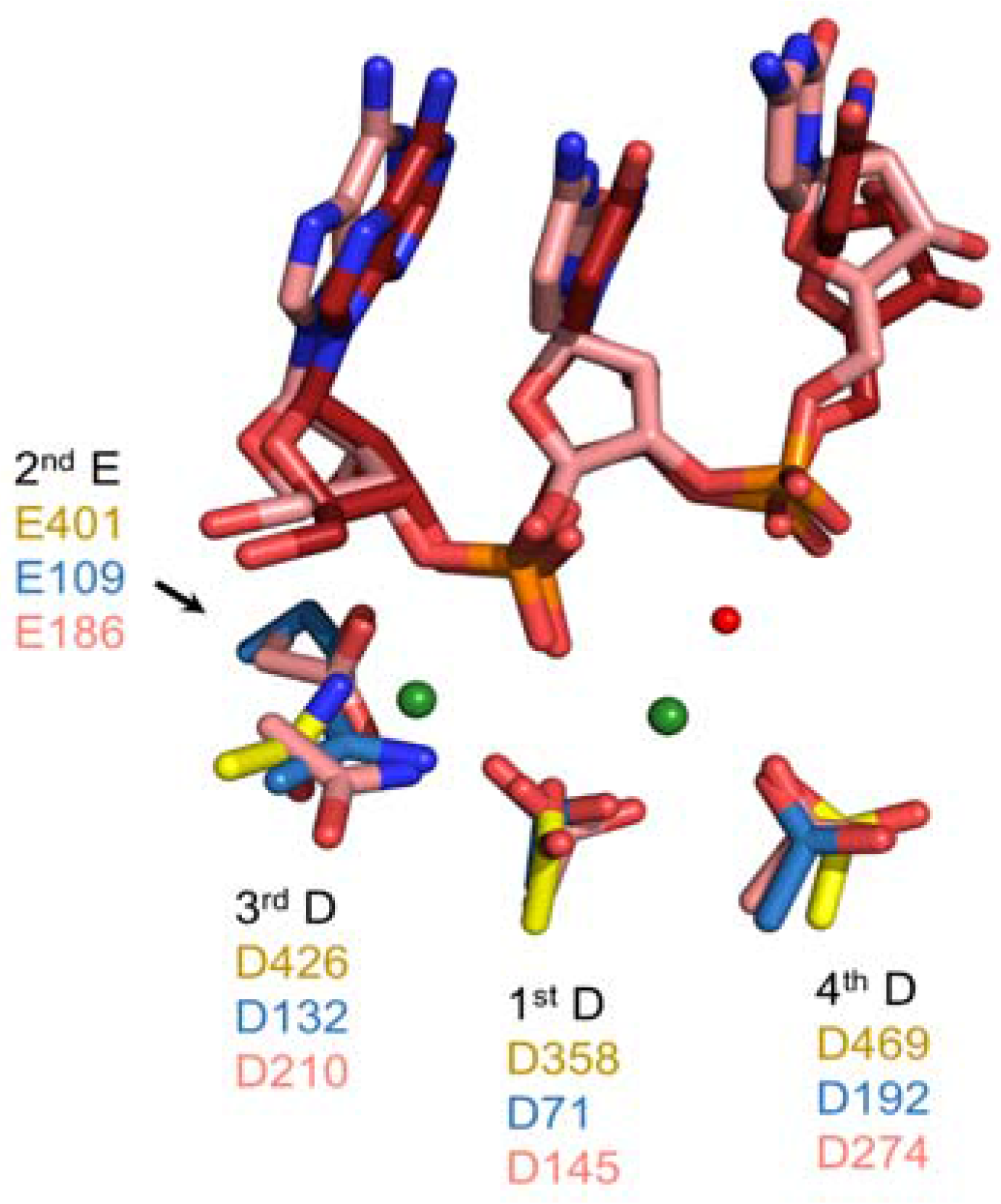 Viruses 09 00044 g006