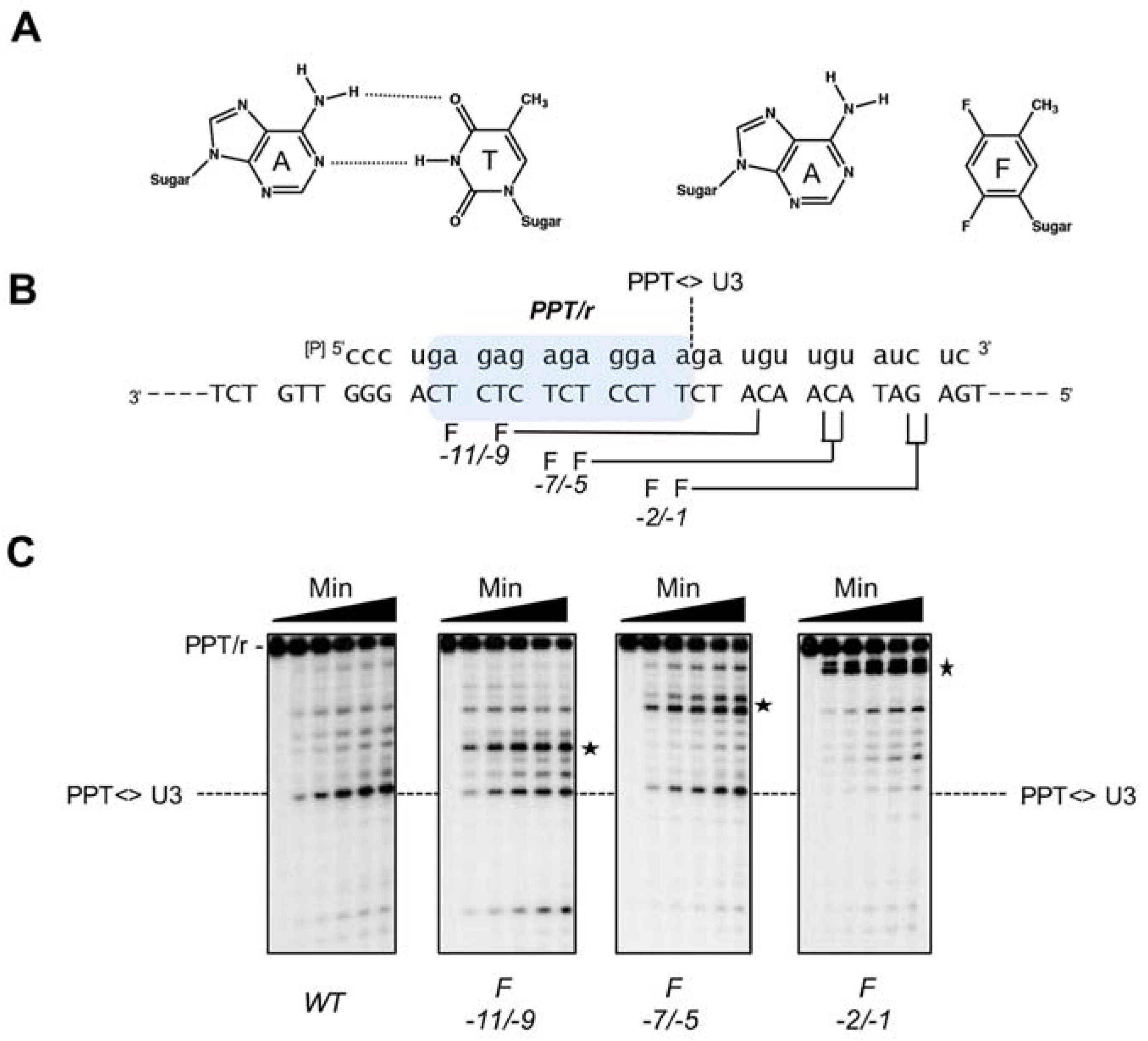 Viruses 09 00044 g008