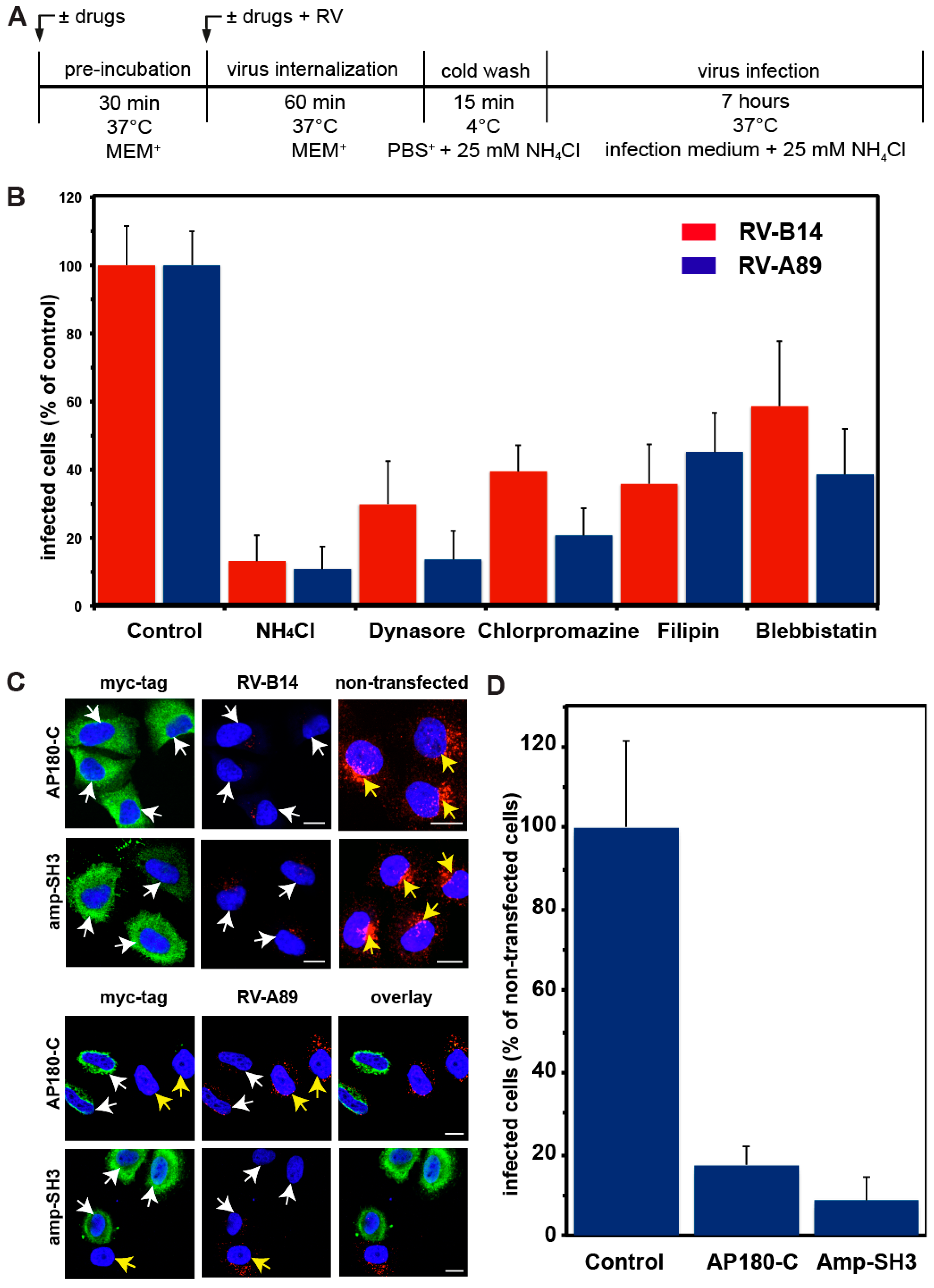 Viruses 09 00068 g001 Viruses 09 00068 g001