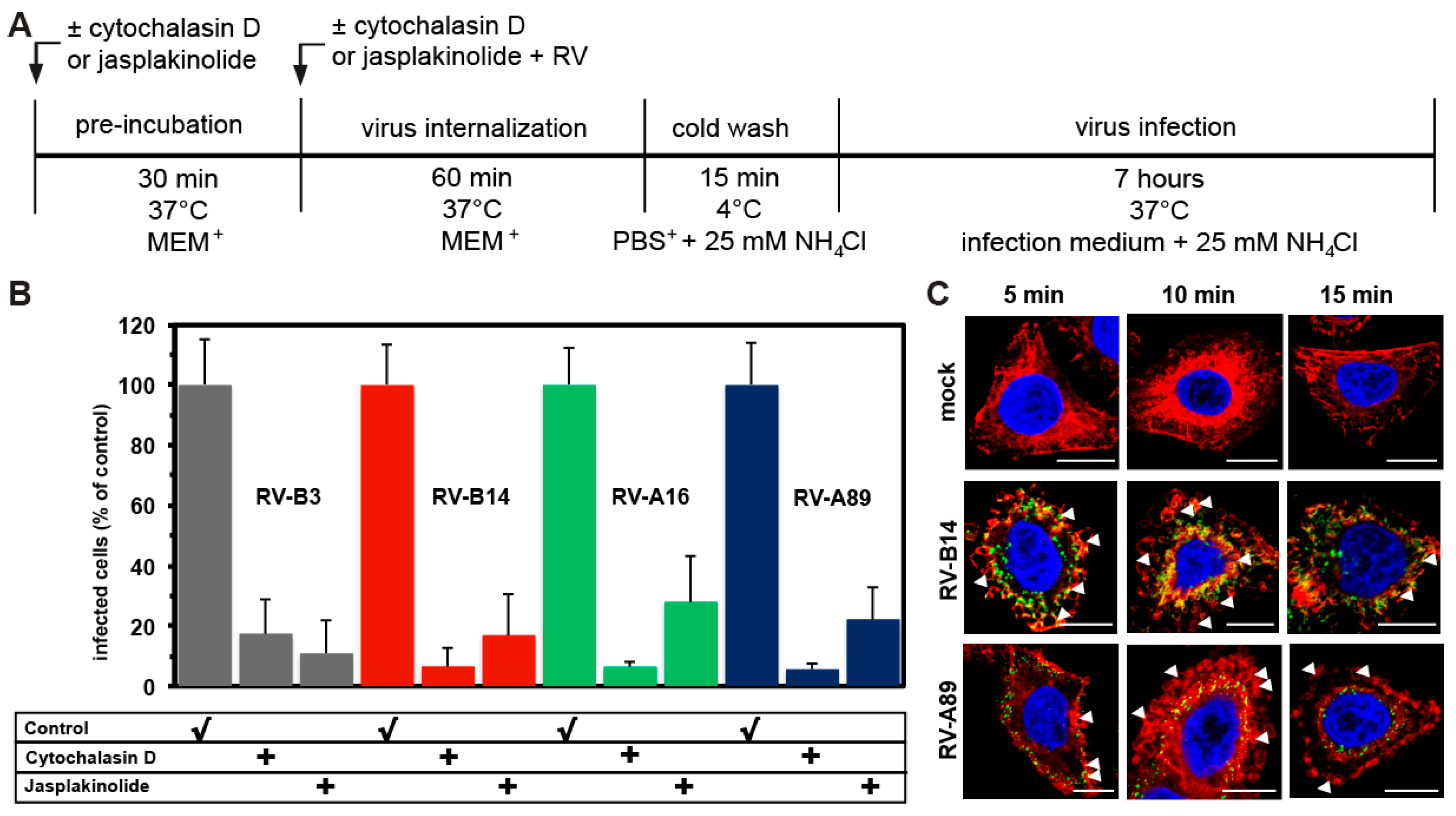 Viruses 09 00068 g003 Viruses 09 00068 g003
