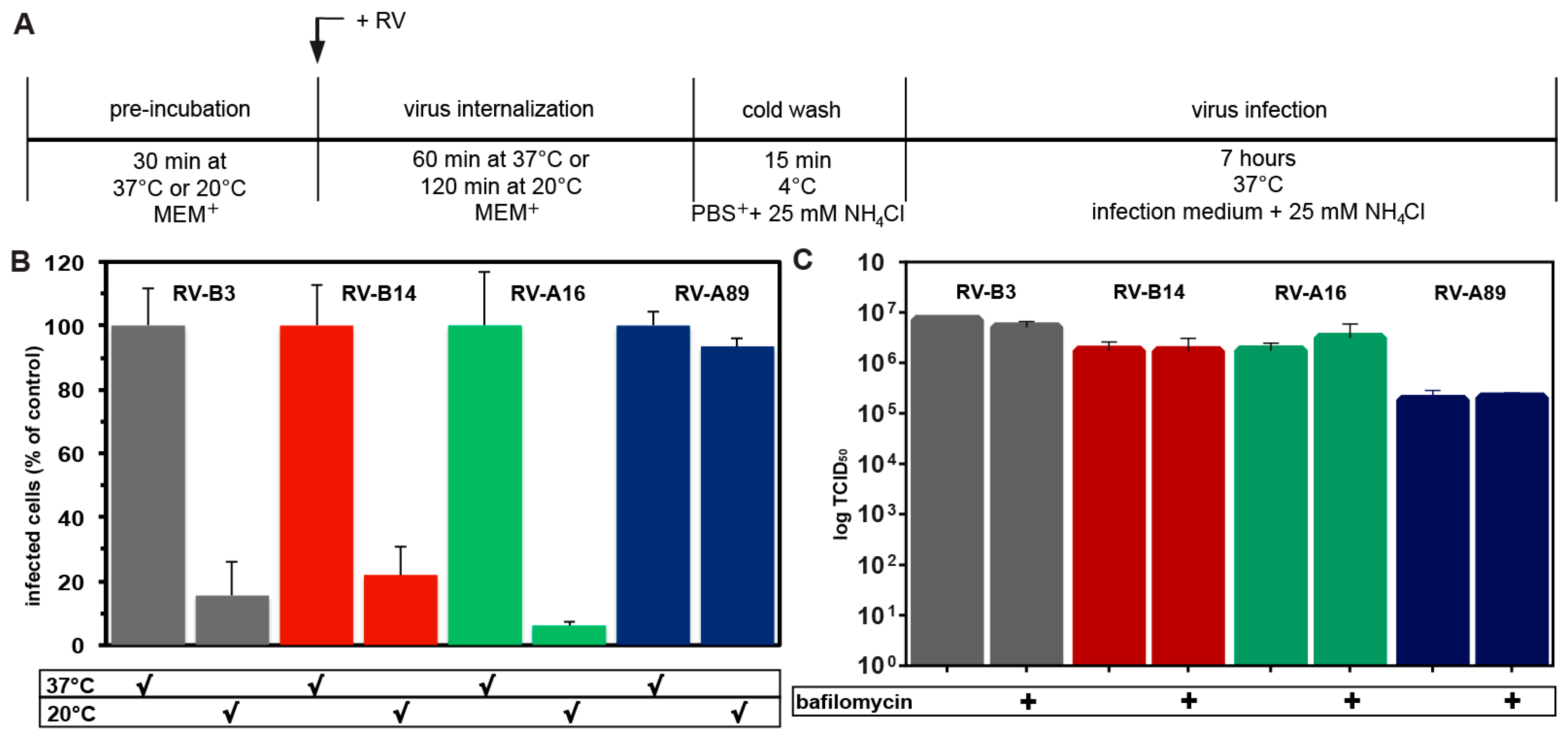 Viruses 09 00068 g004 Viruses 09 00068 g004