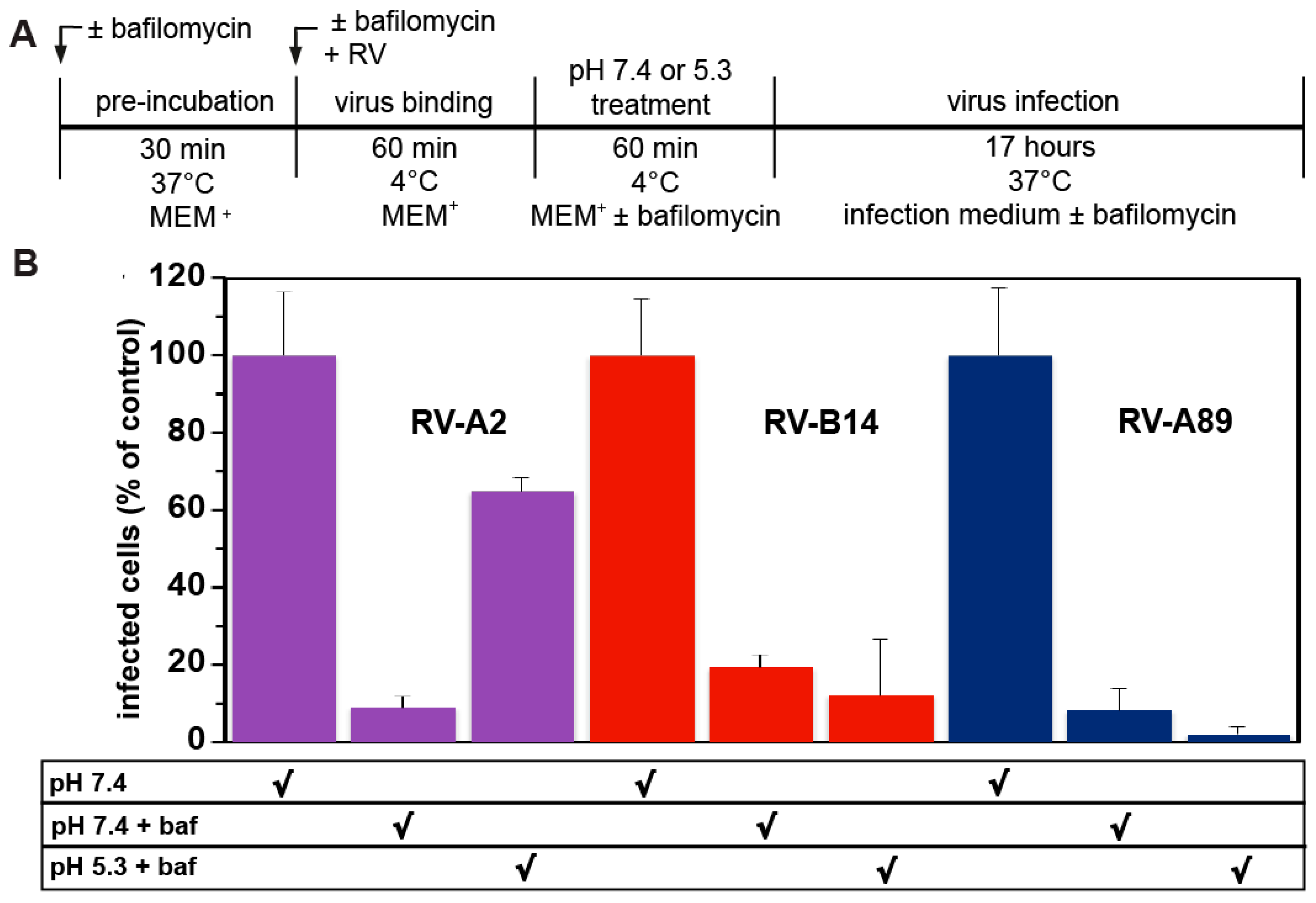Viruses 09 00068 g005 Viruses 09 00068 g005