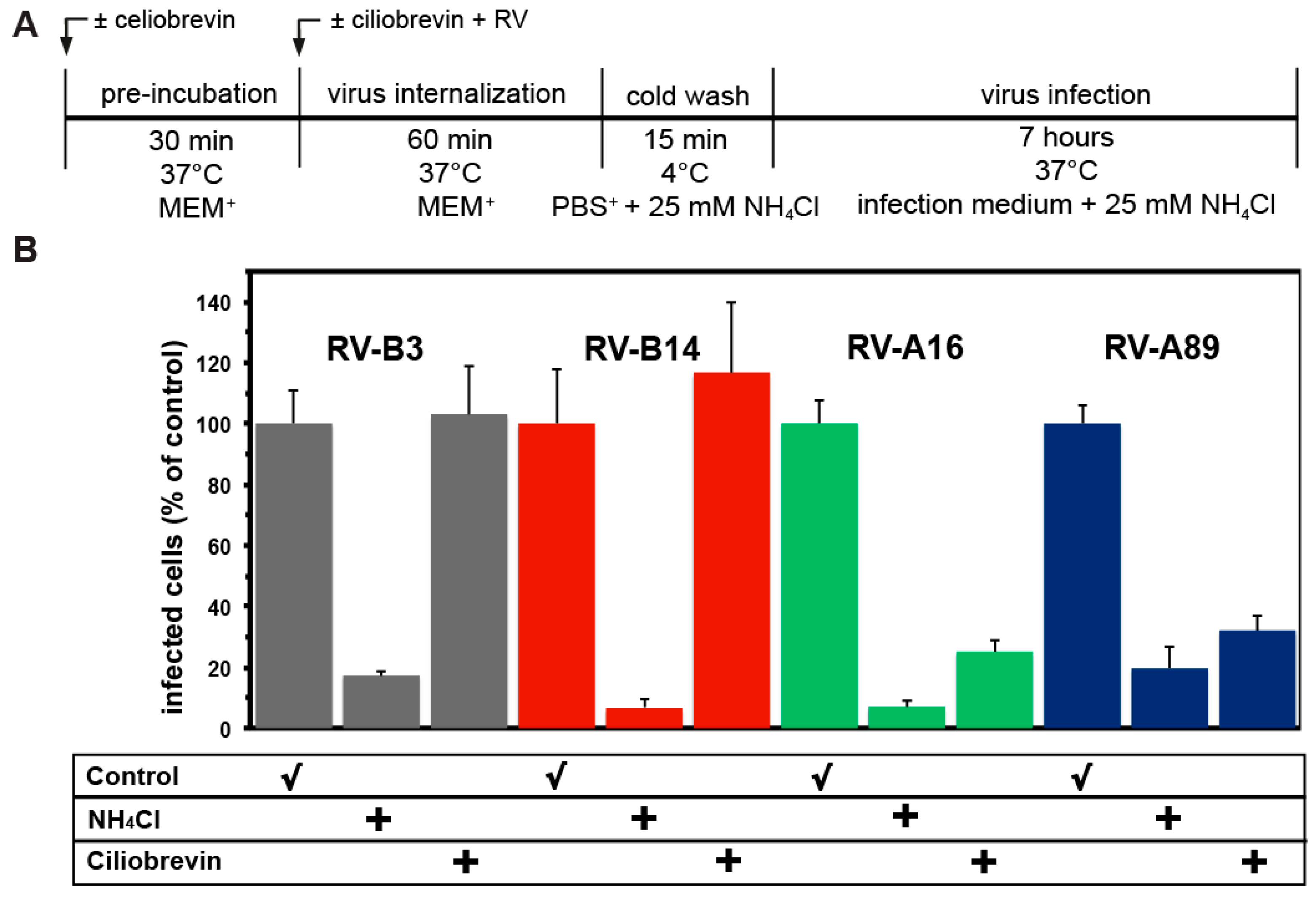 Viruses 09 00068 g006 Viruses 09 00068 g006