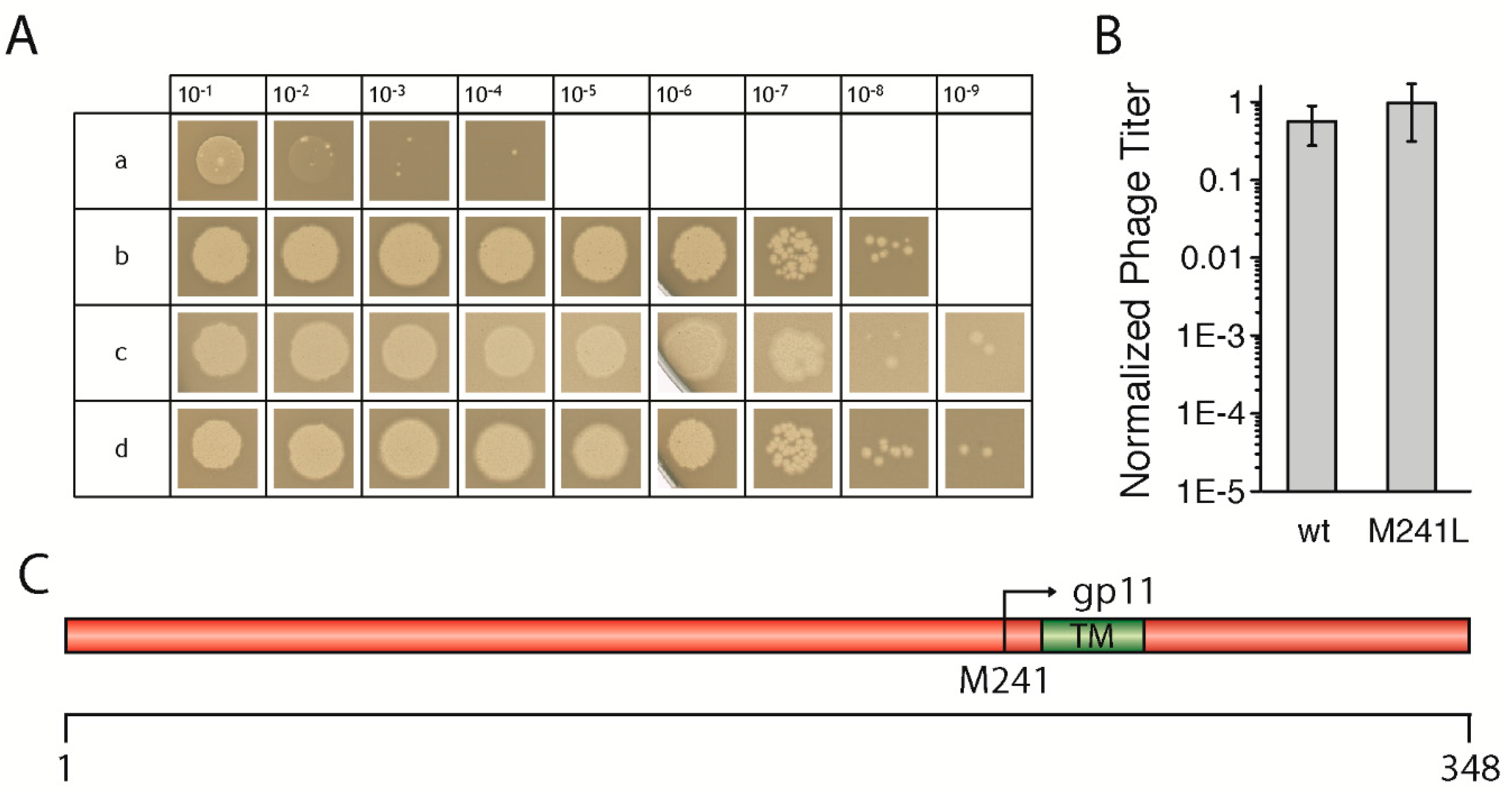 Viruses 09 00073 g001