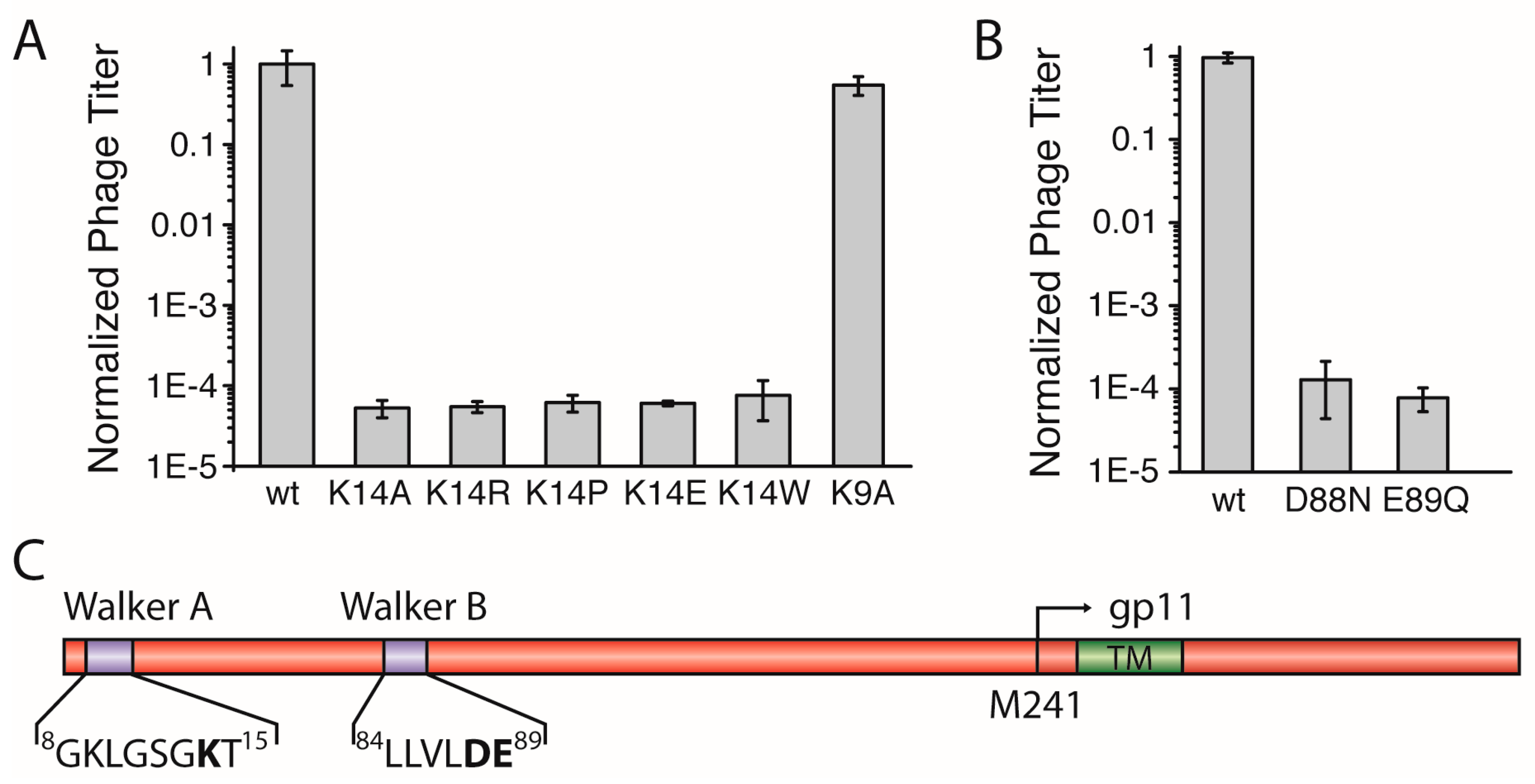Viruses 09 00073 g002