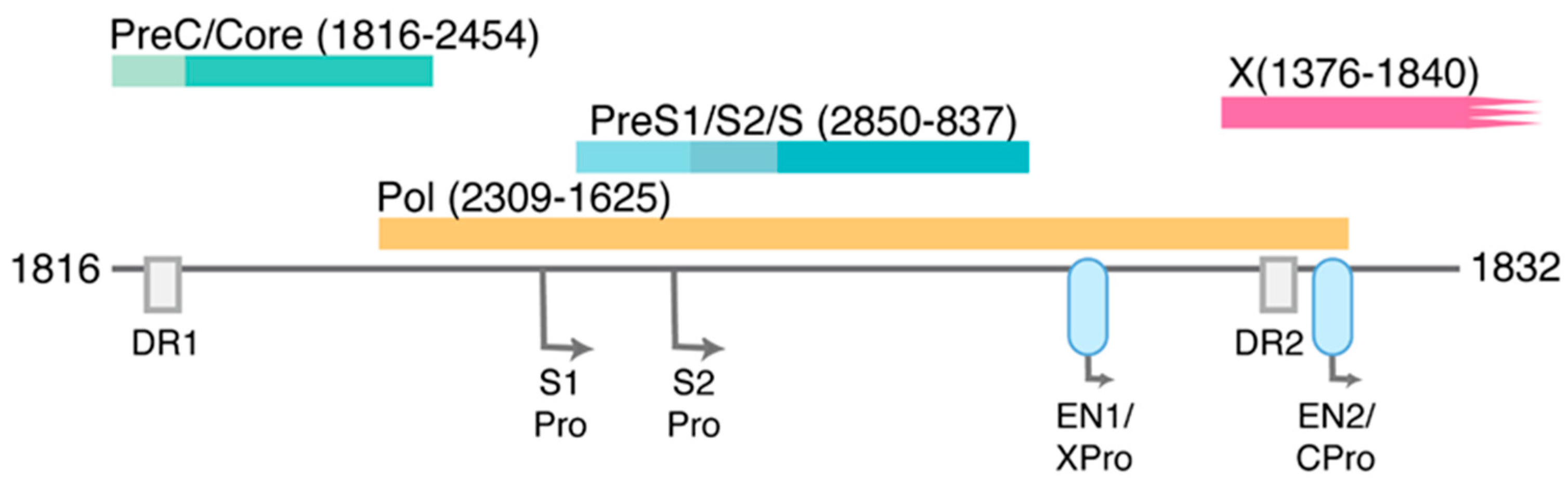 Viruses 09 00075 g003