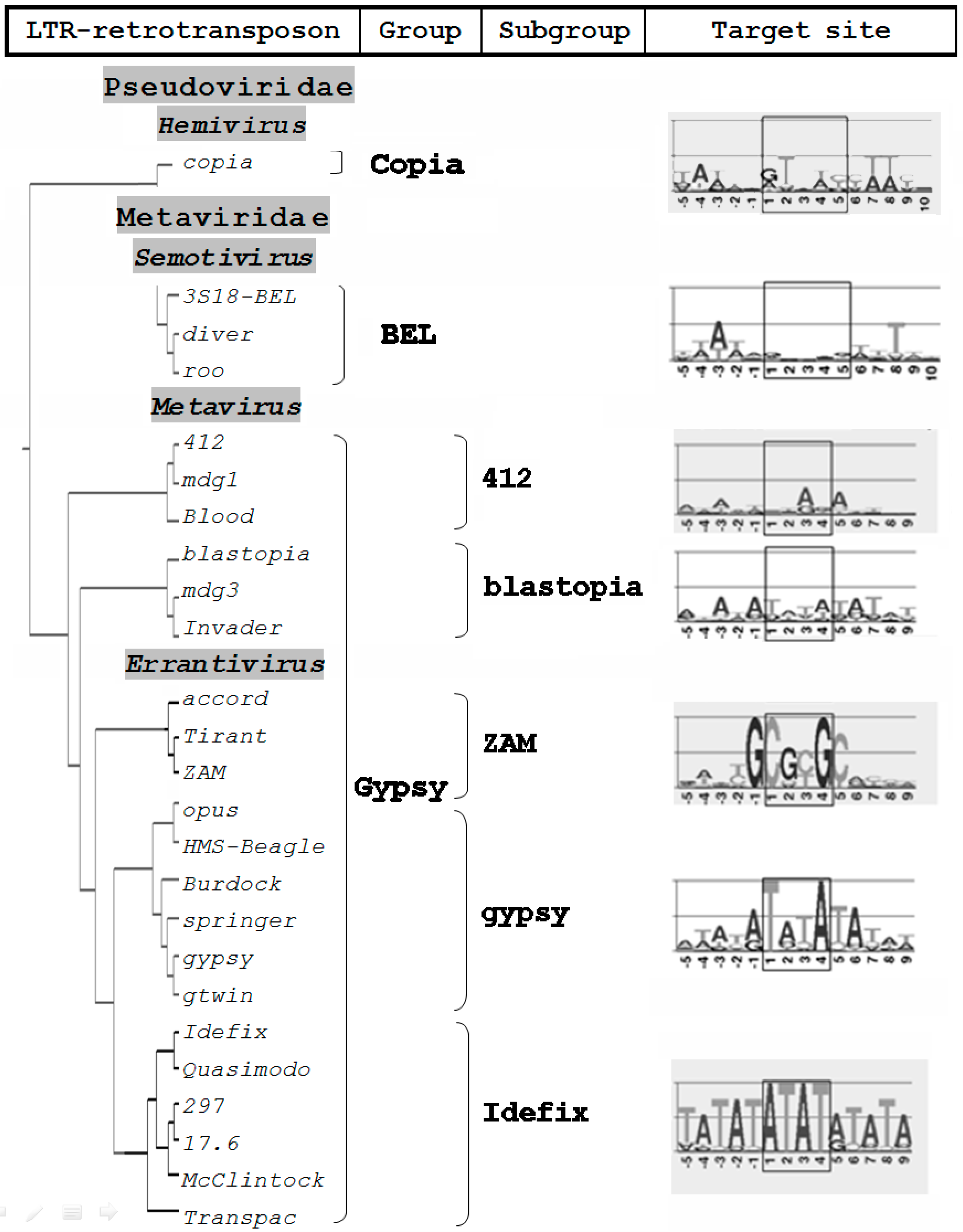 Viruses 09 00081 g002