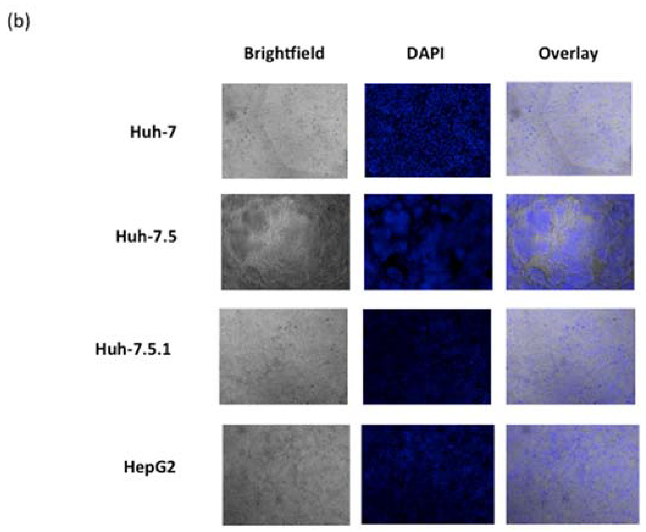 Viruses 09 00090 g003b