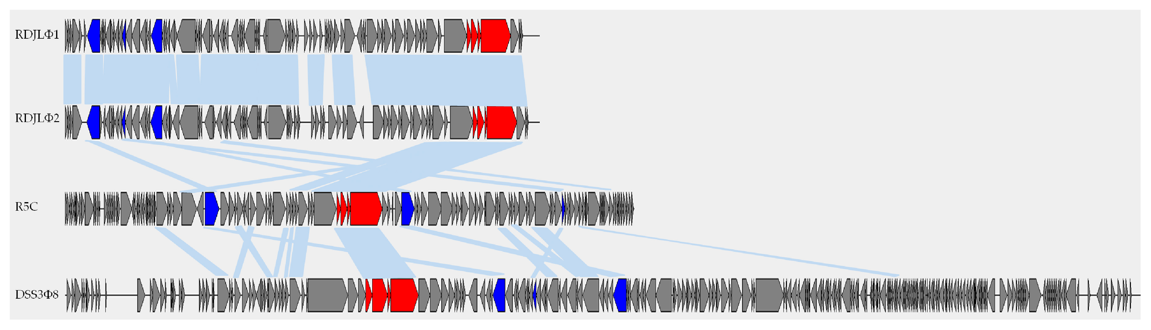 Viruses 09 00109 g004