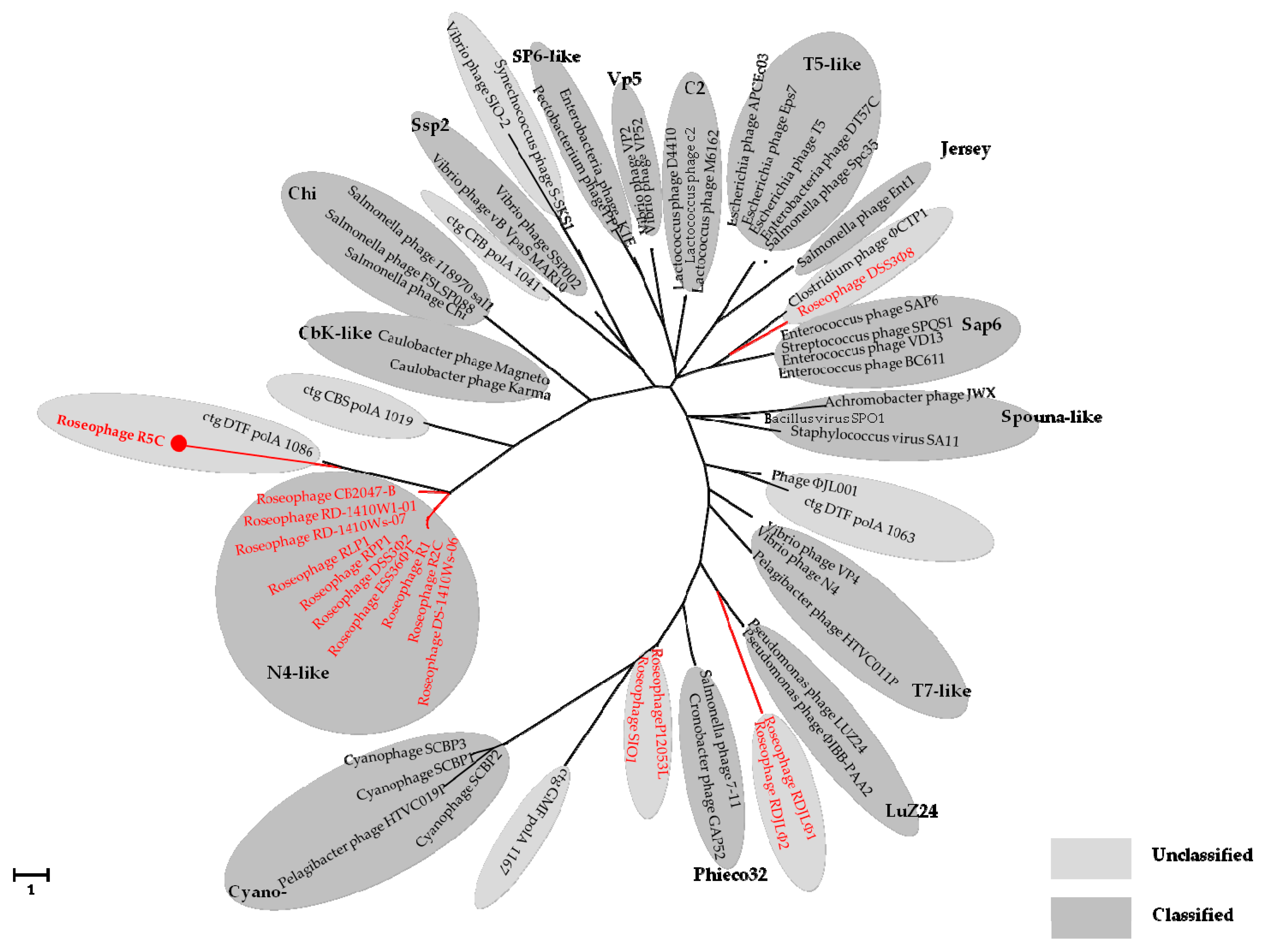 Viruses 09 00109 g005