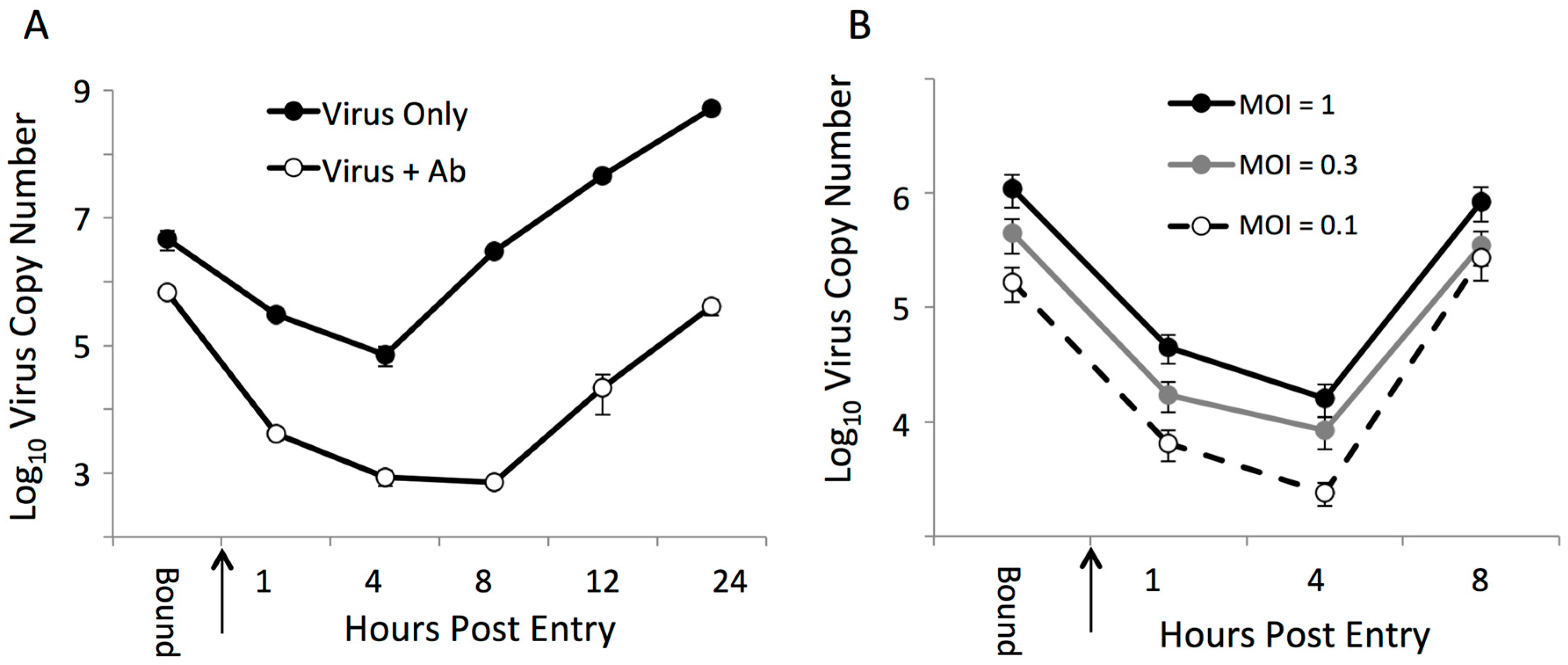 Viruses 09 00113 g006