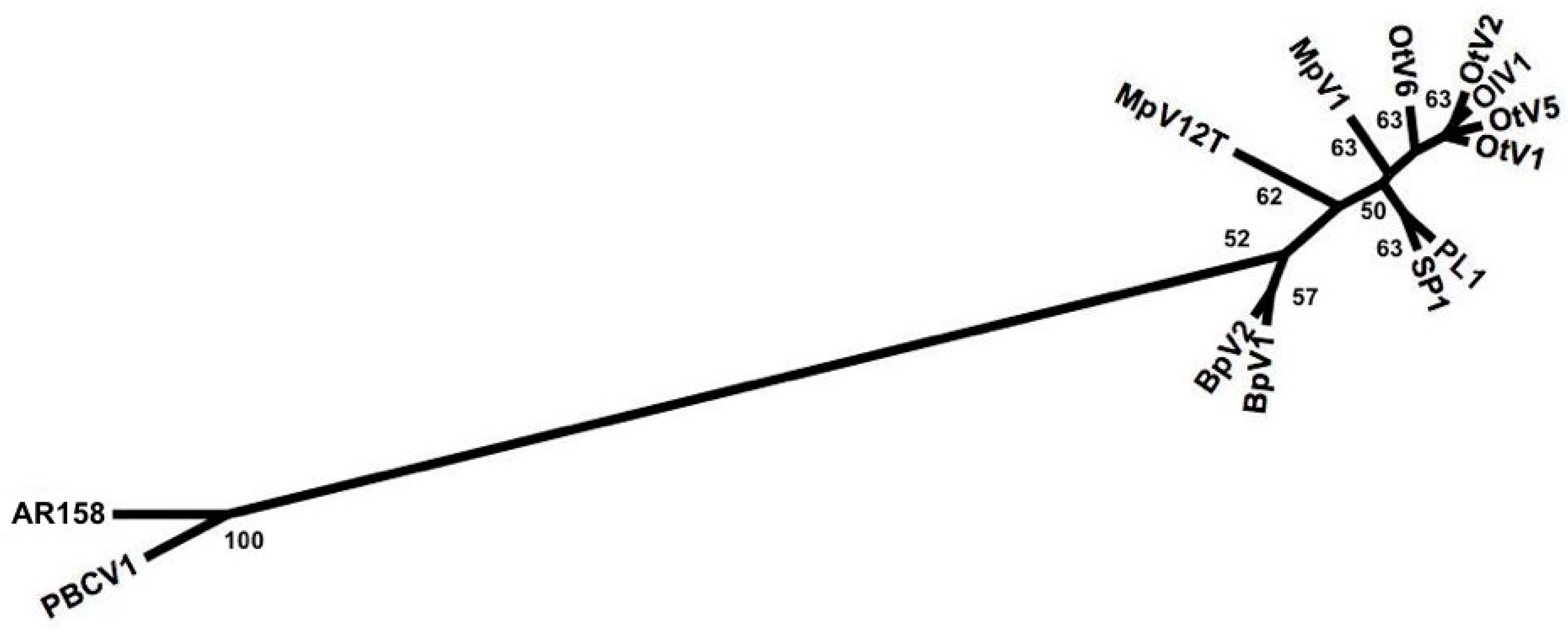 Viruses 09 00116 g003