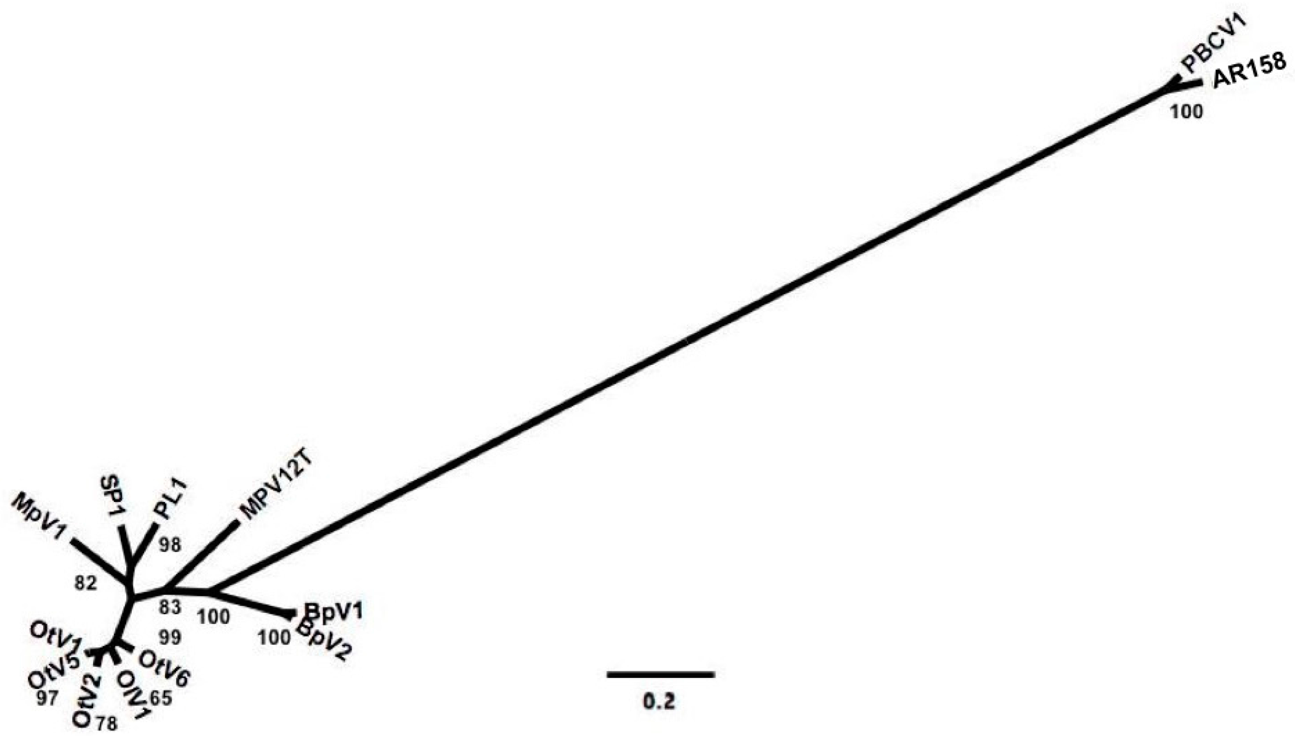 Viruses 09 00116 g004