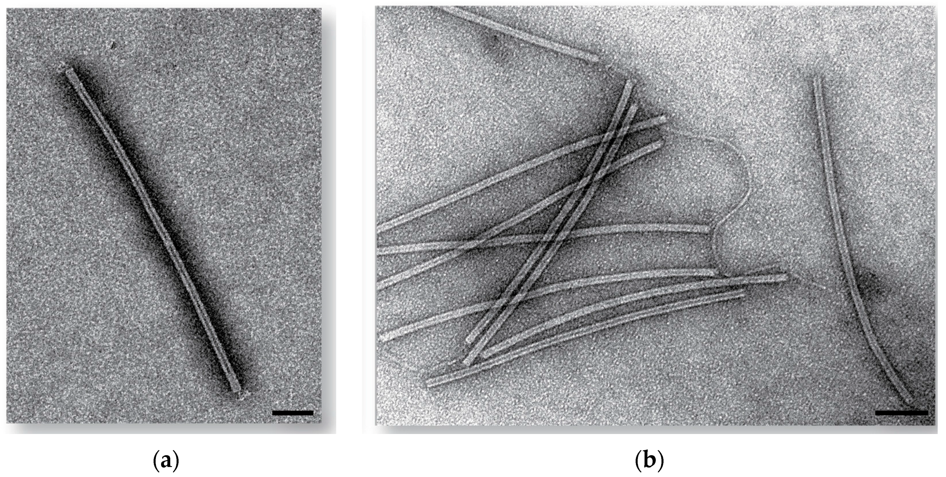 Viruses 09 00120 g001