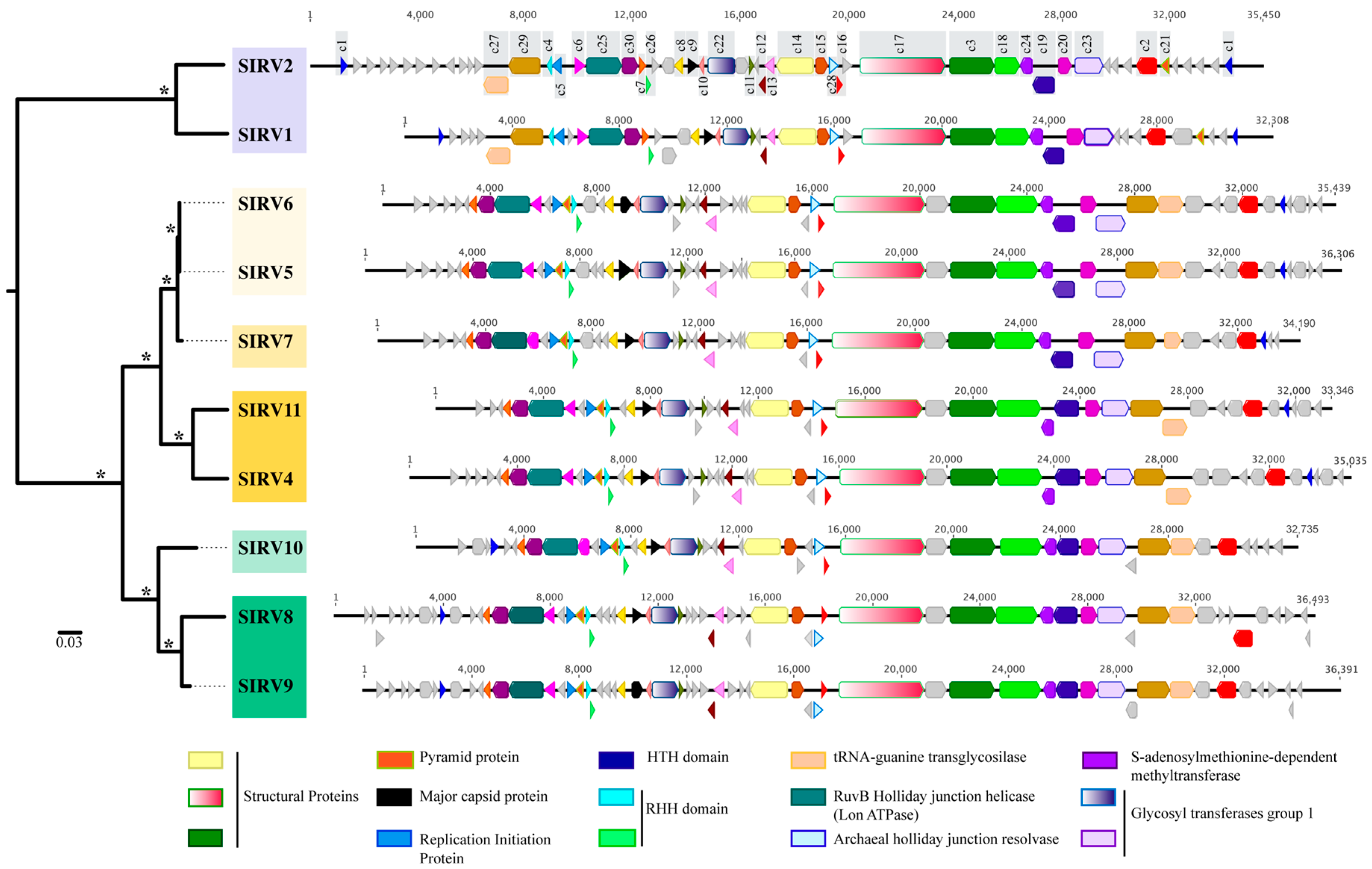 Viruses 09 00120 g002