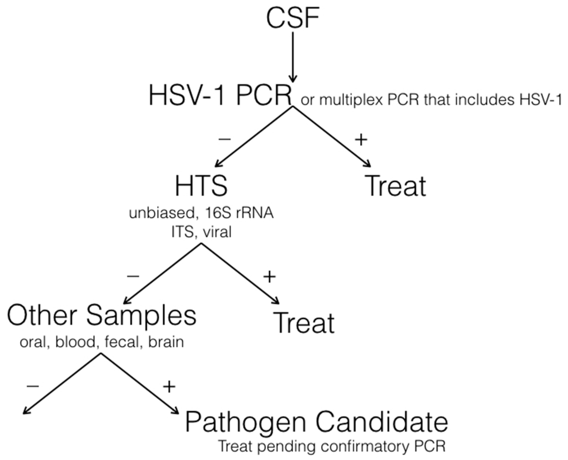 Viruses 09 00138 g002