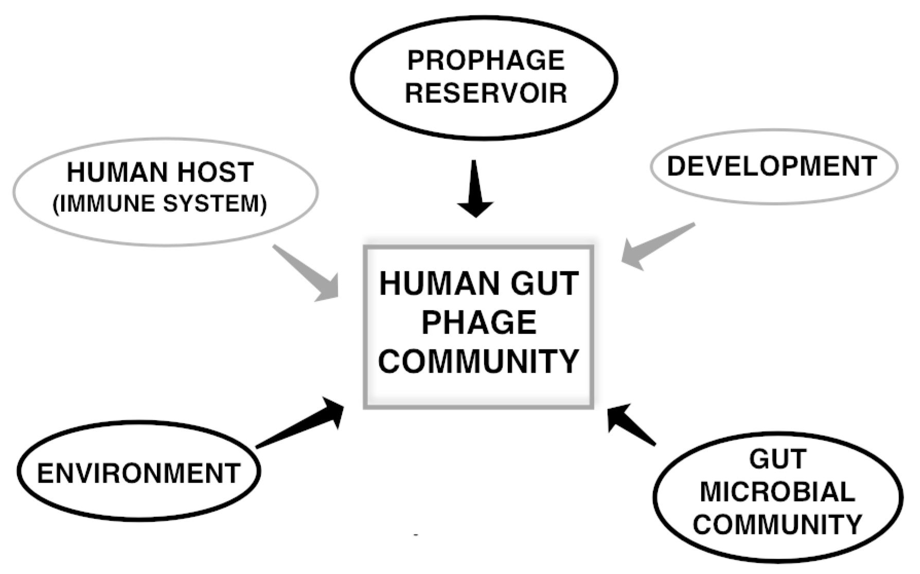 Viruses 09 00141 g001