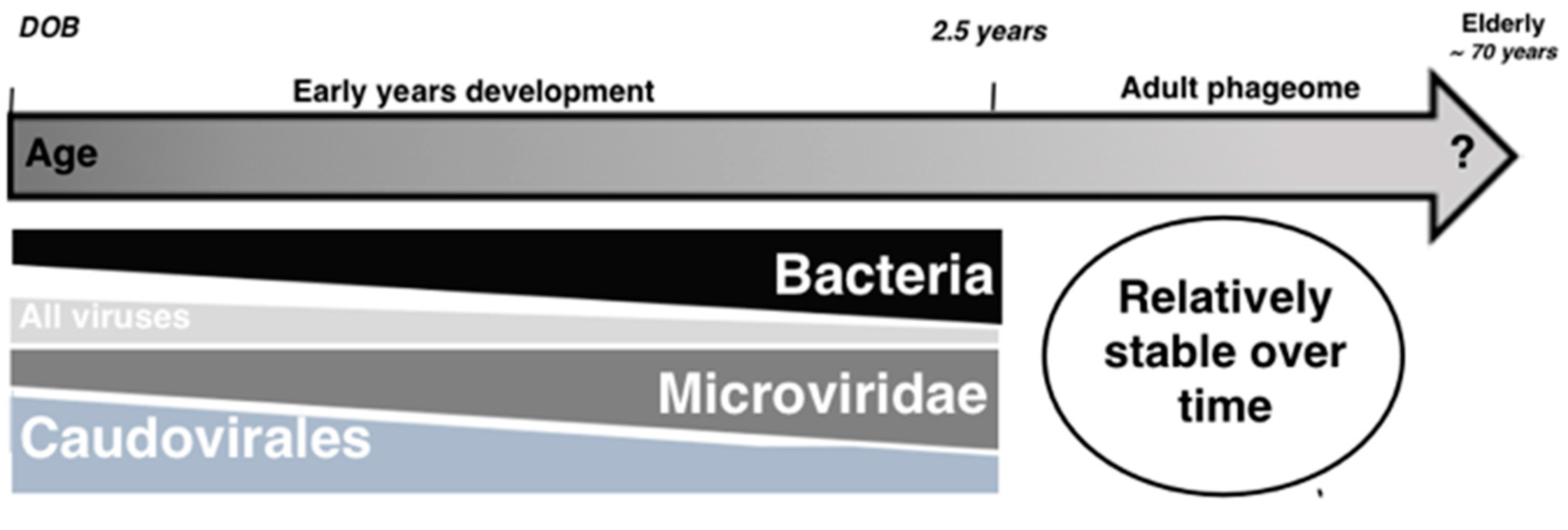Viruses 09 00141 g002