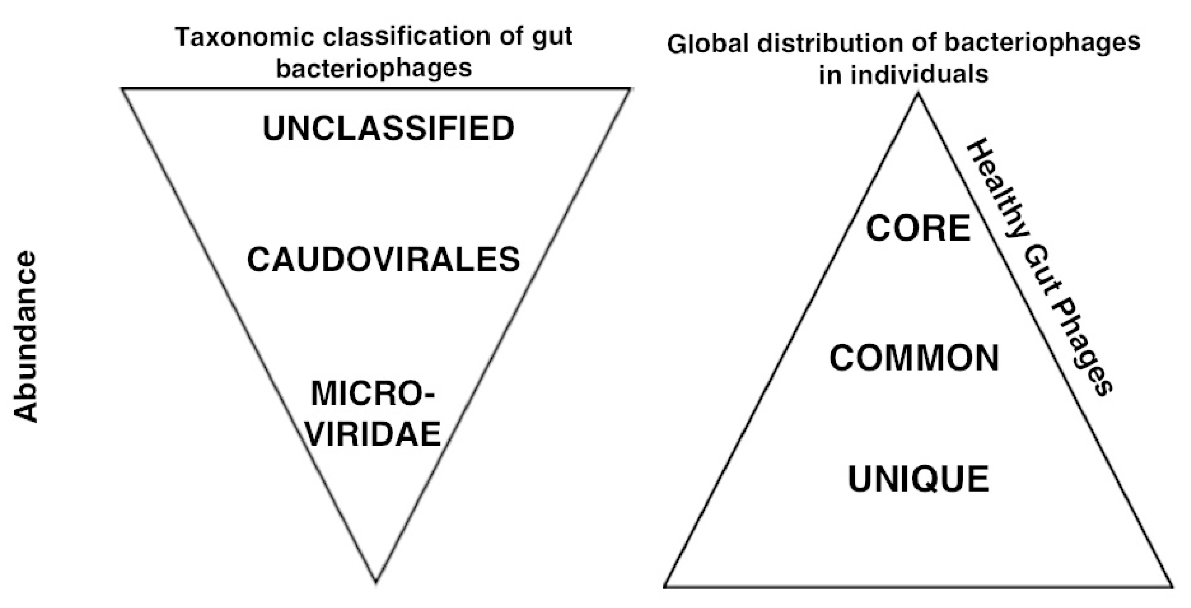 Viruses 09 00141 g004