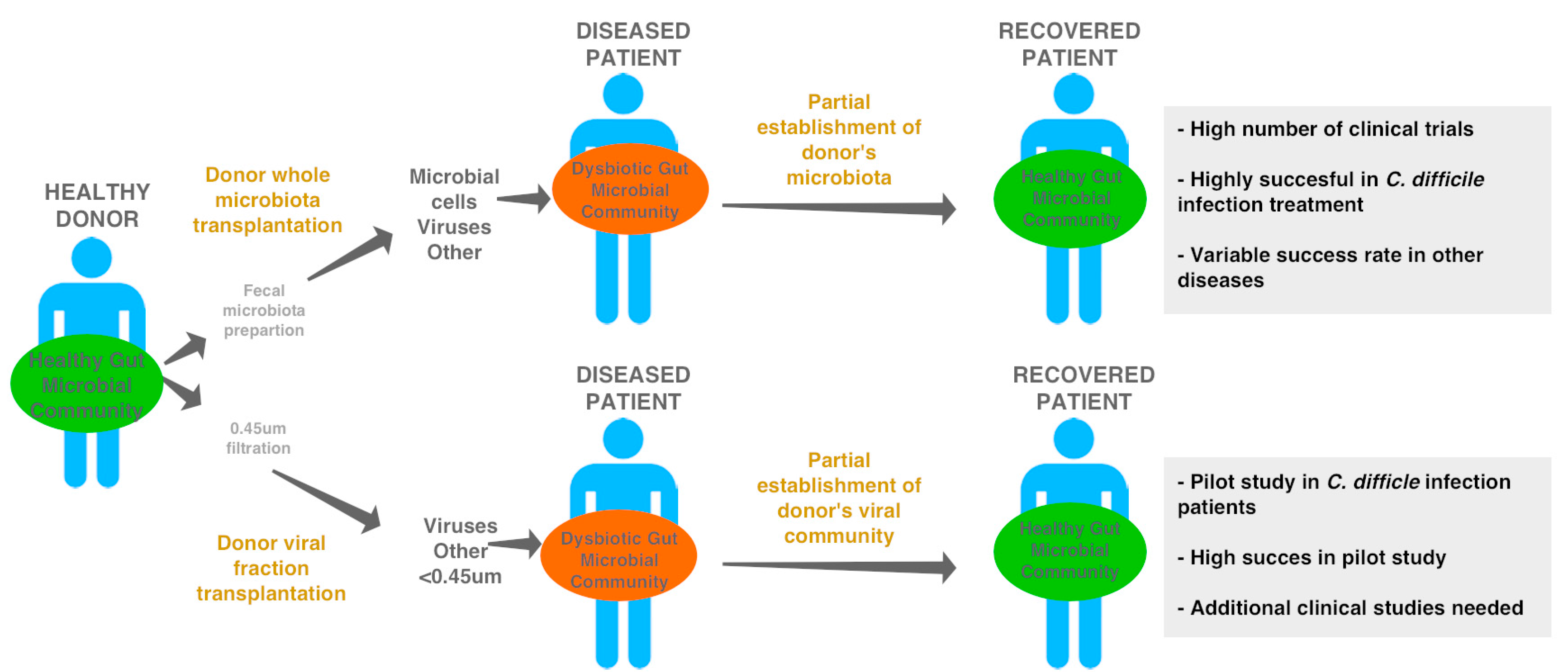 Viruses 09 00141 g006
