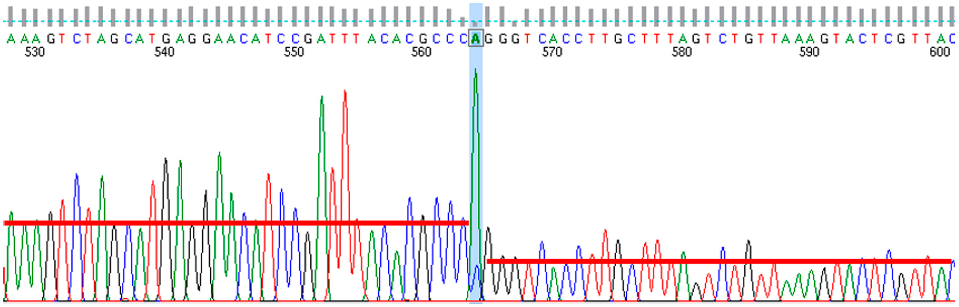 Viruses 09 00146 g001
