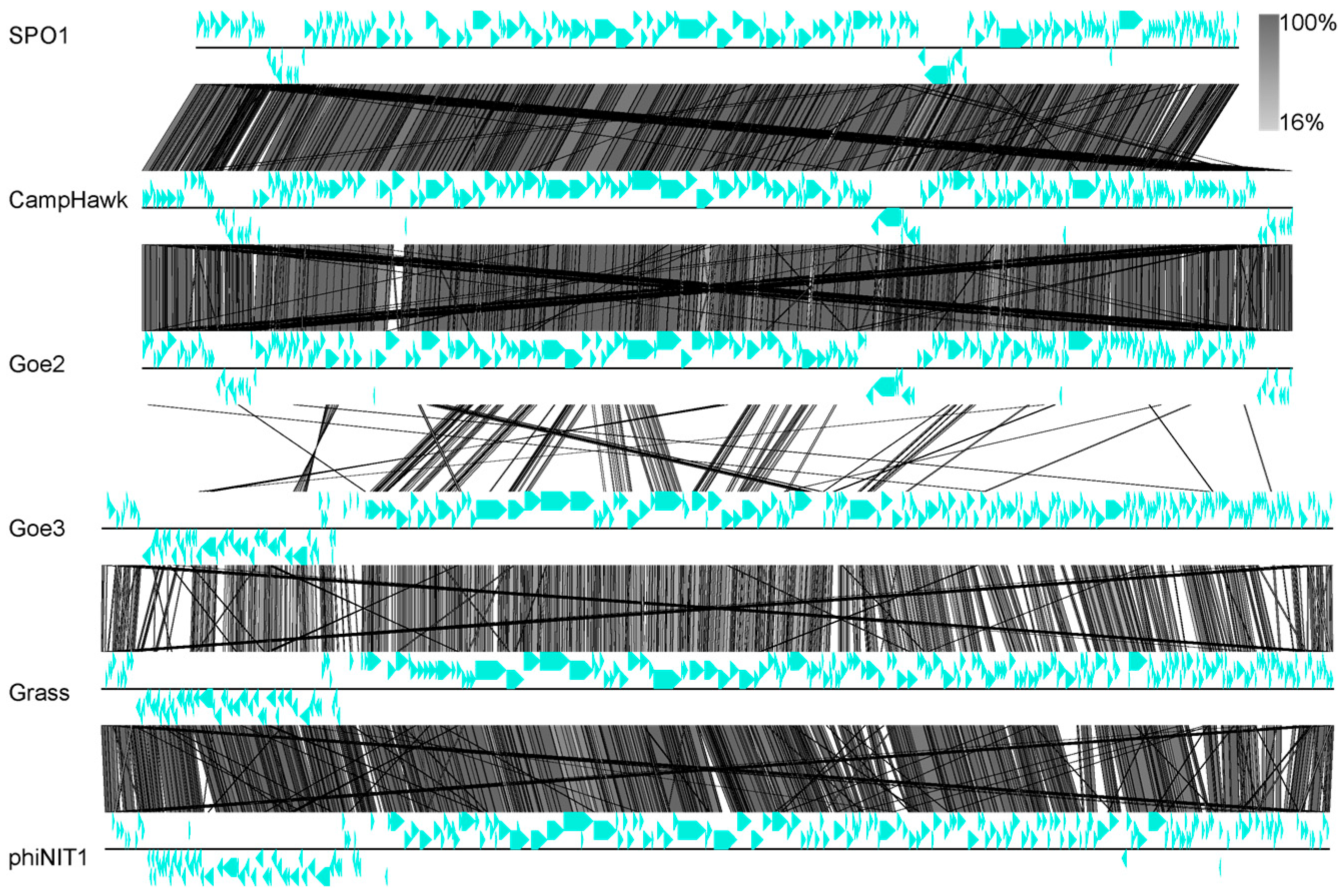 Viruses 09 00146 g005