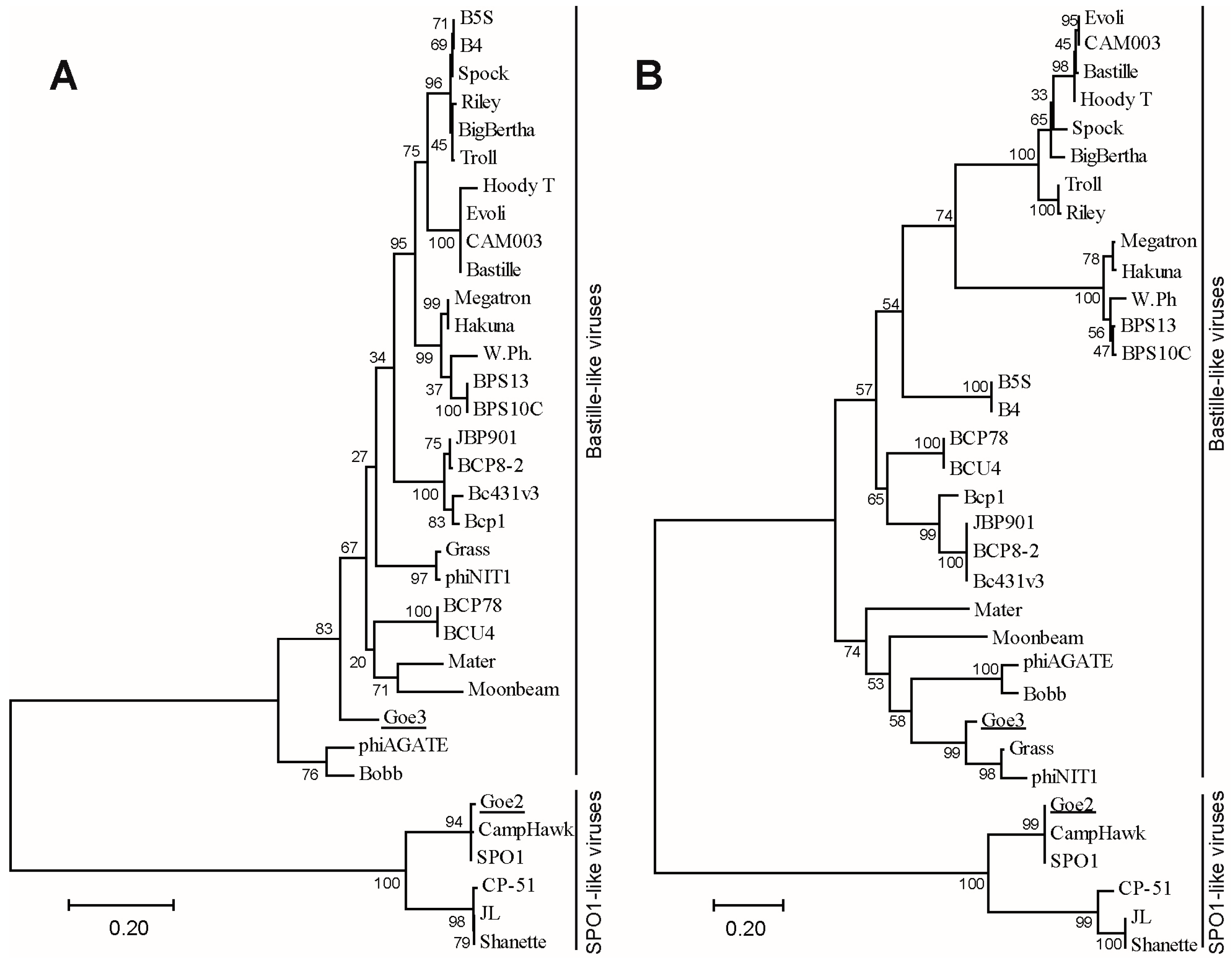 Viruses 09 00146 g006
