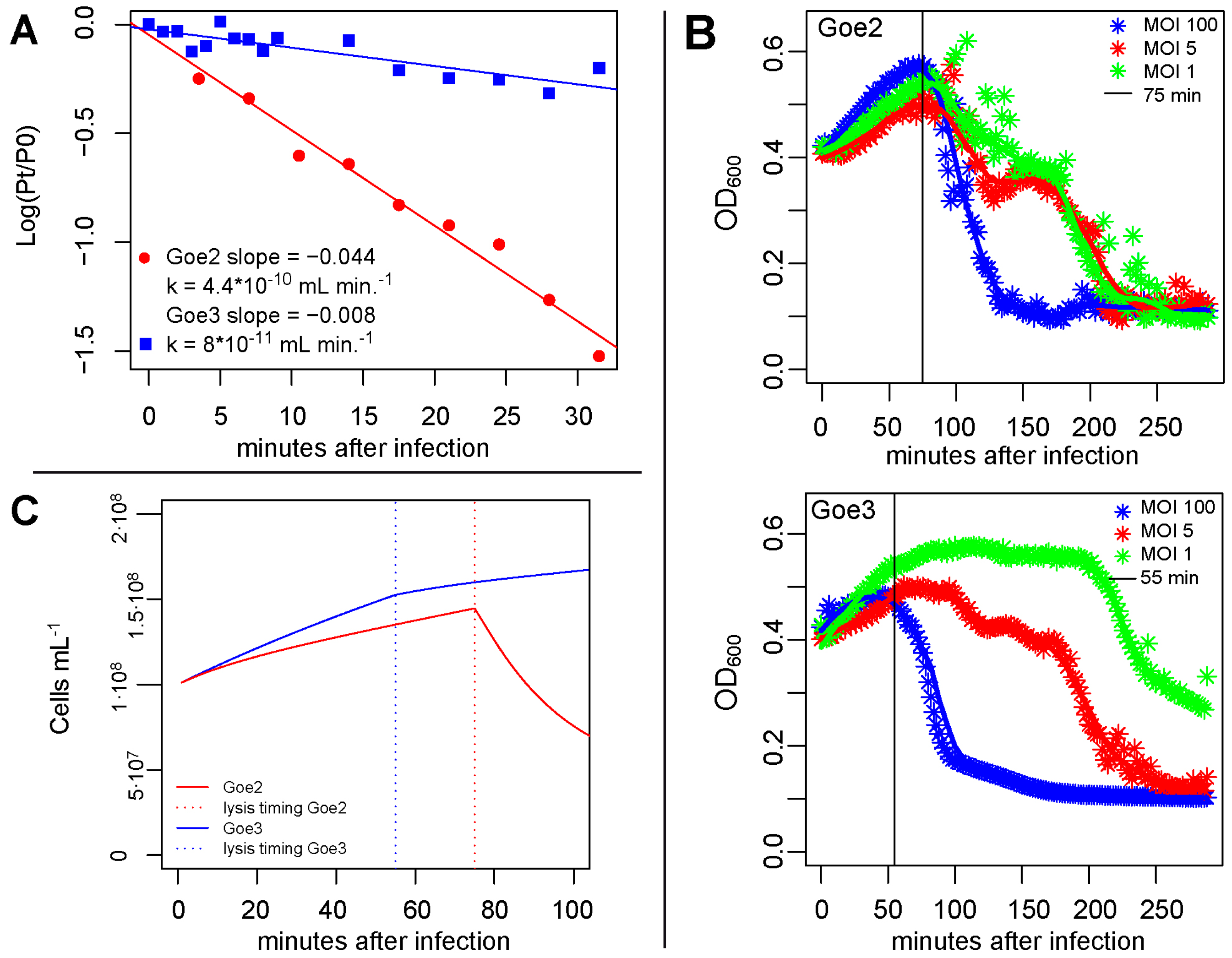 Viruses 09 00146 g007