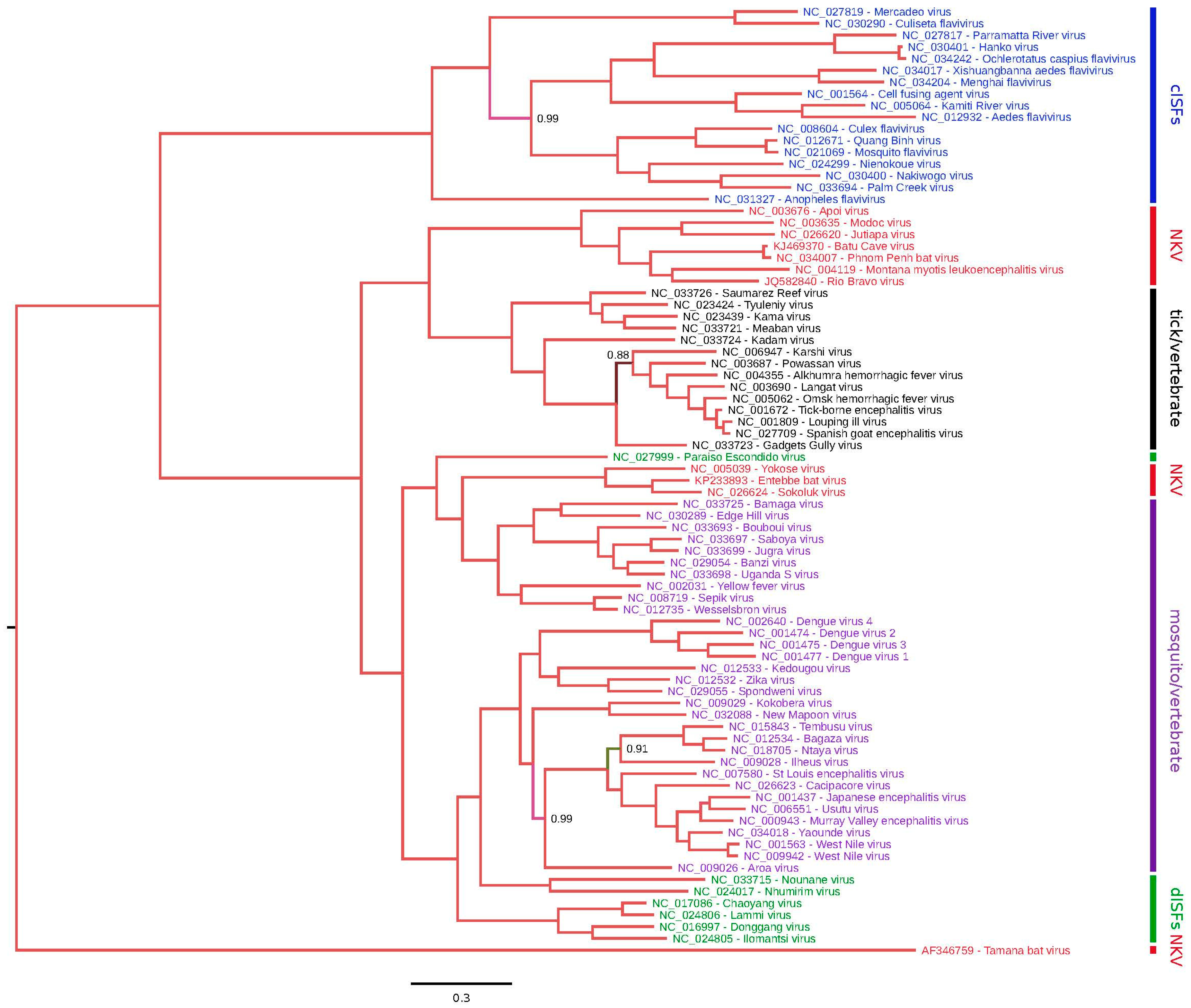 Viruses 09 00154 g001