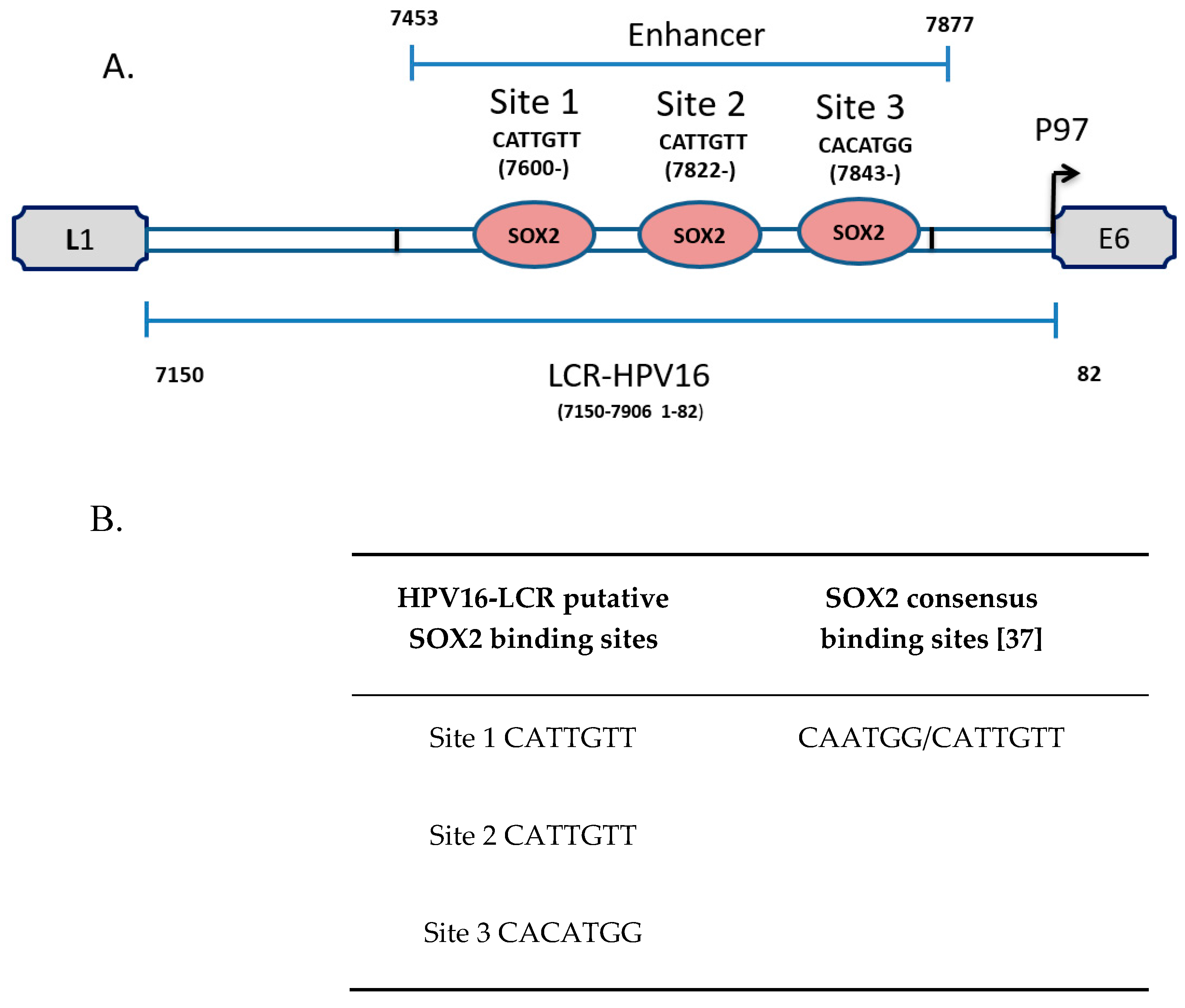 Viruses 09 00175 g001