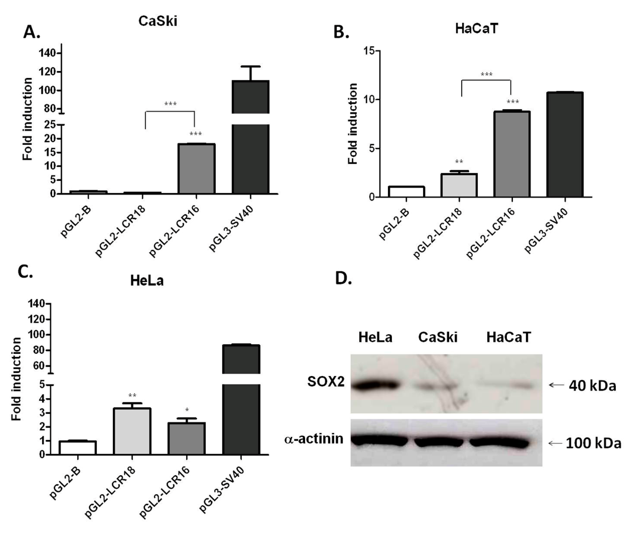 Viruses 09 00175 g002