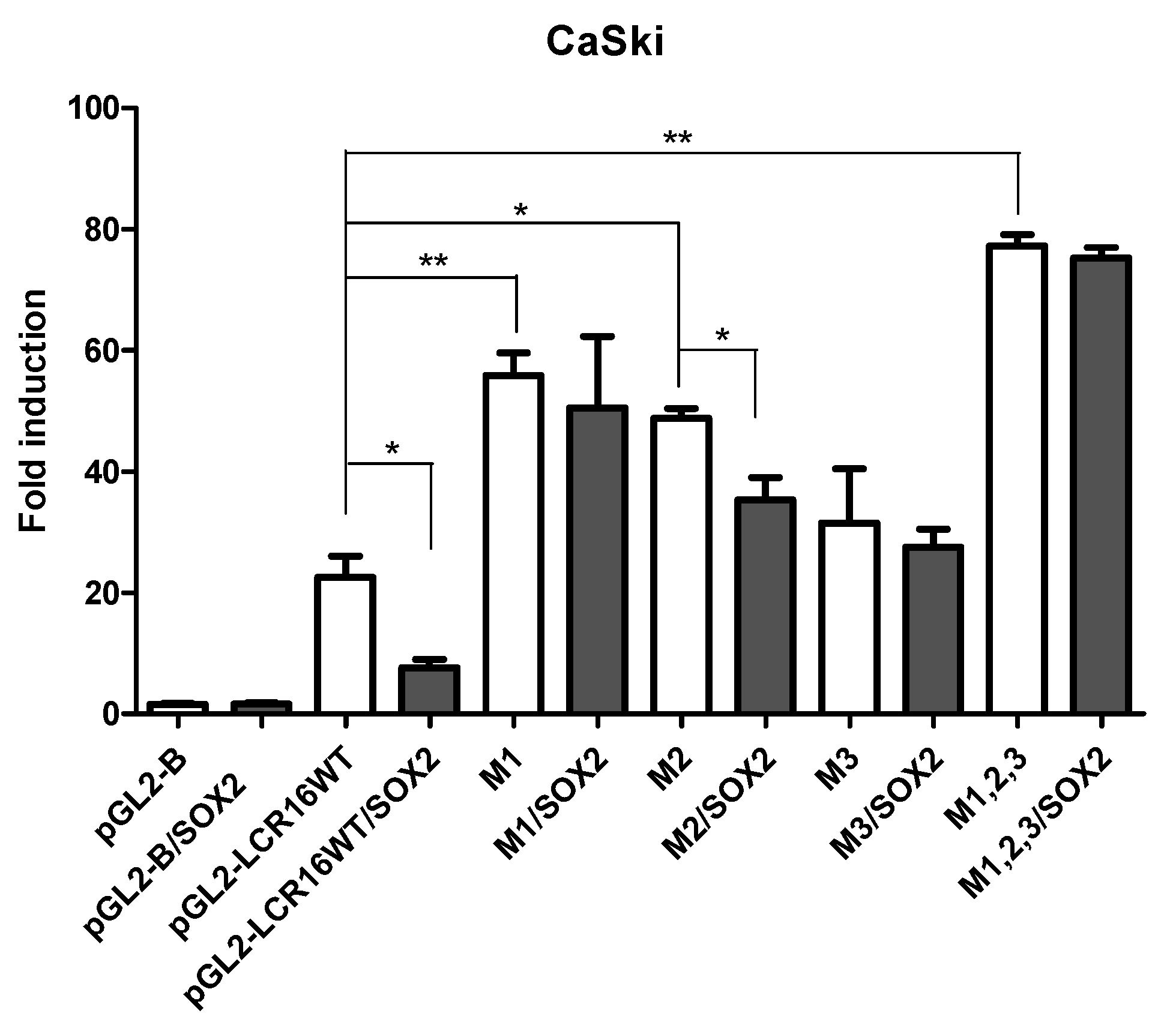 Viruses 09 00175 g006