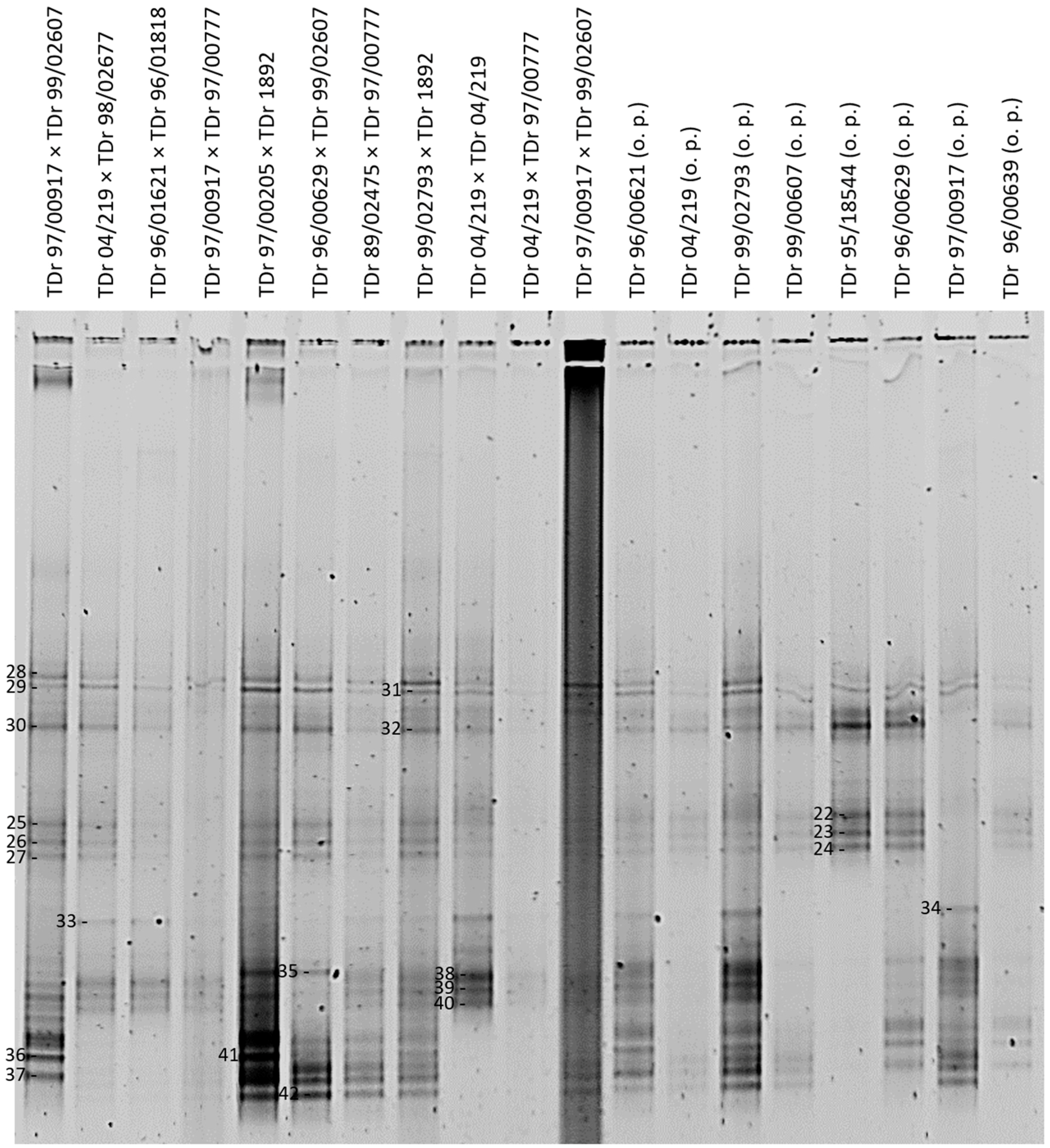 Viruses 09 00181 g003 Viruses 09 00181 g003
