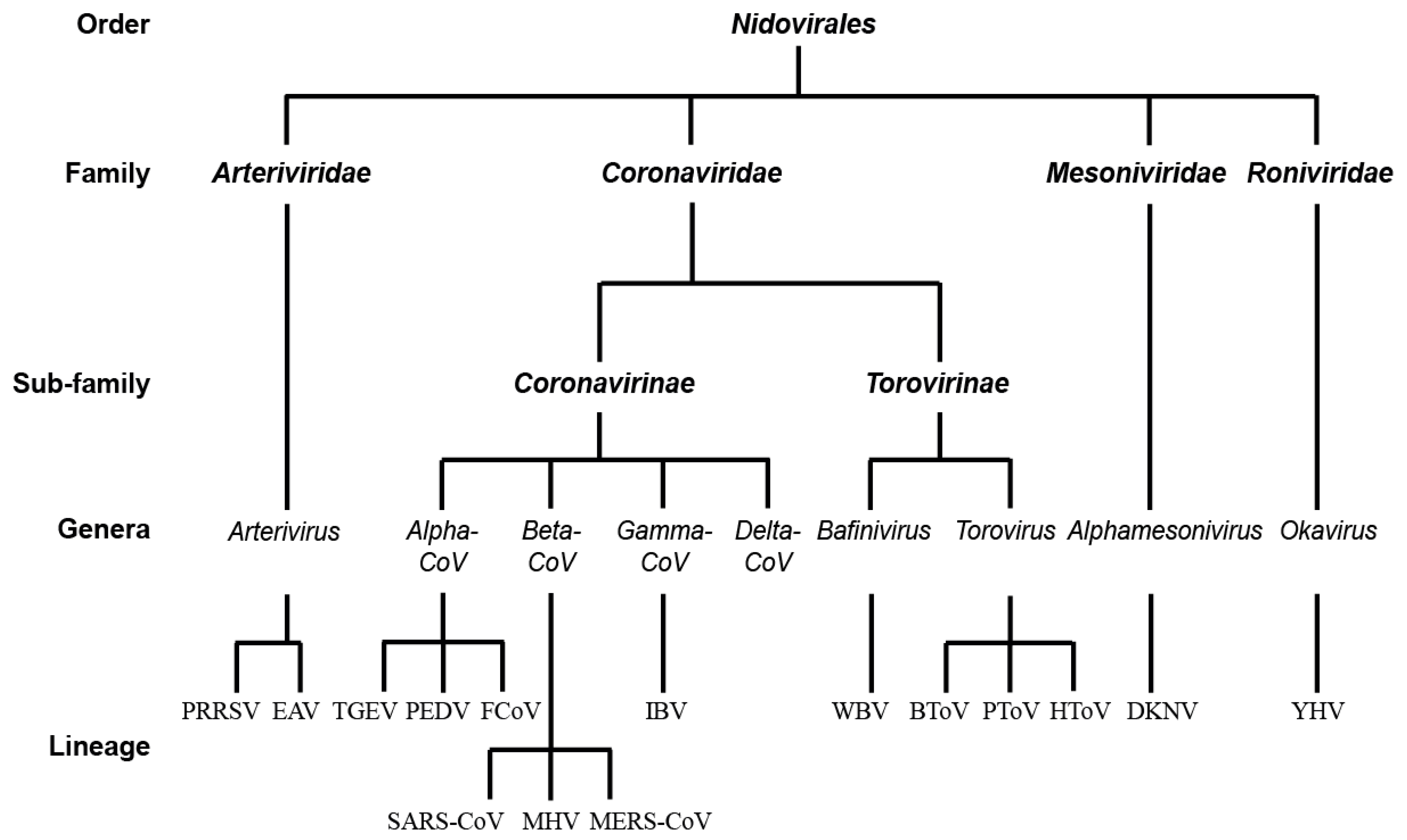 Viruses 09 00182 g001