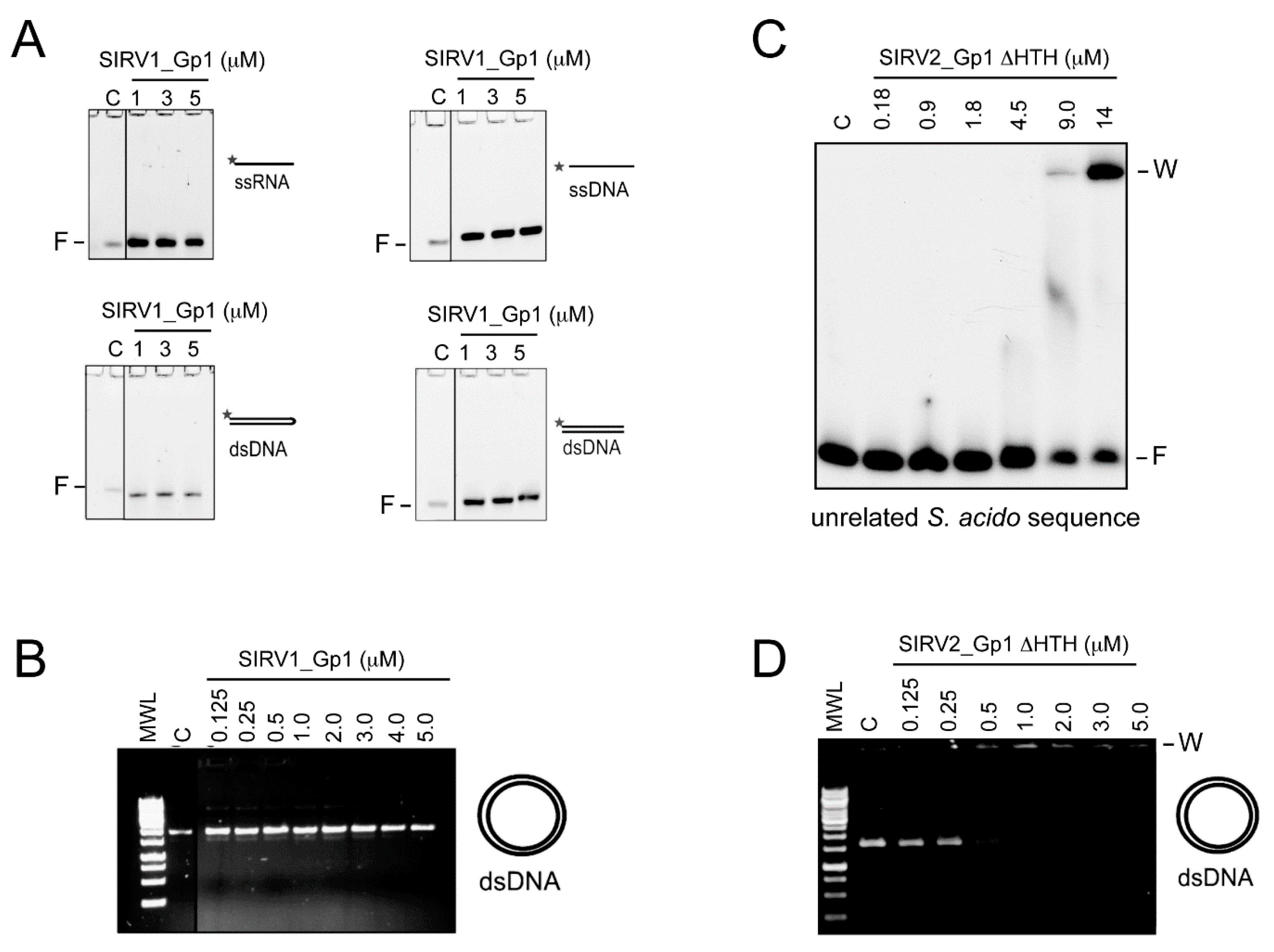 Viruses 09 00190 g004