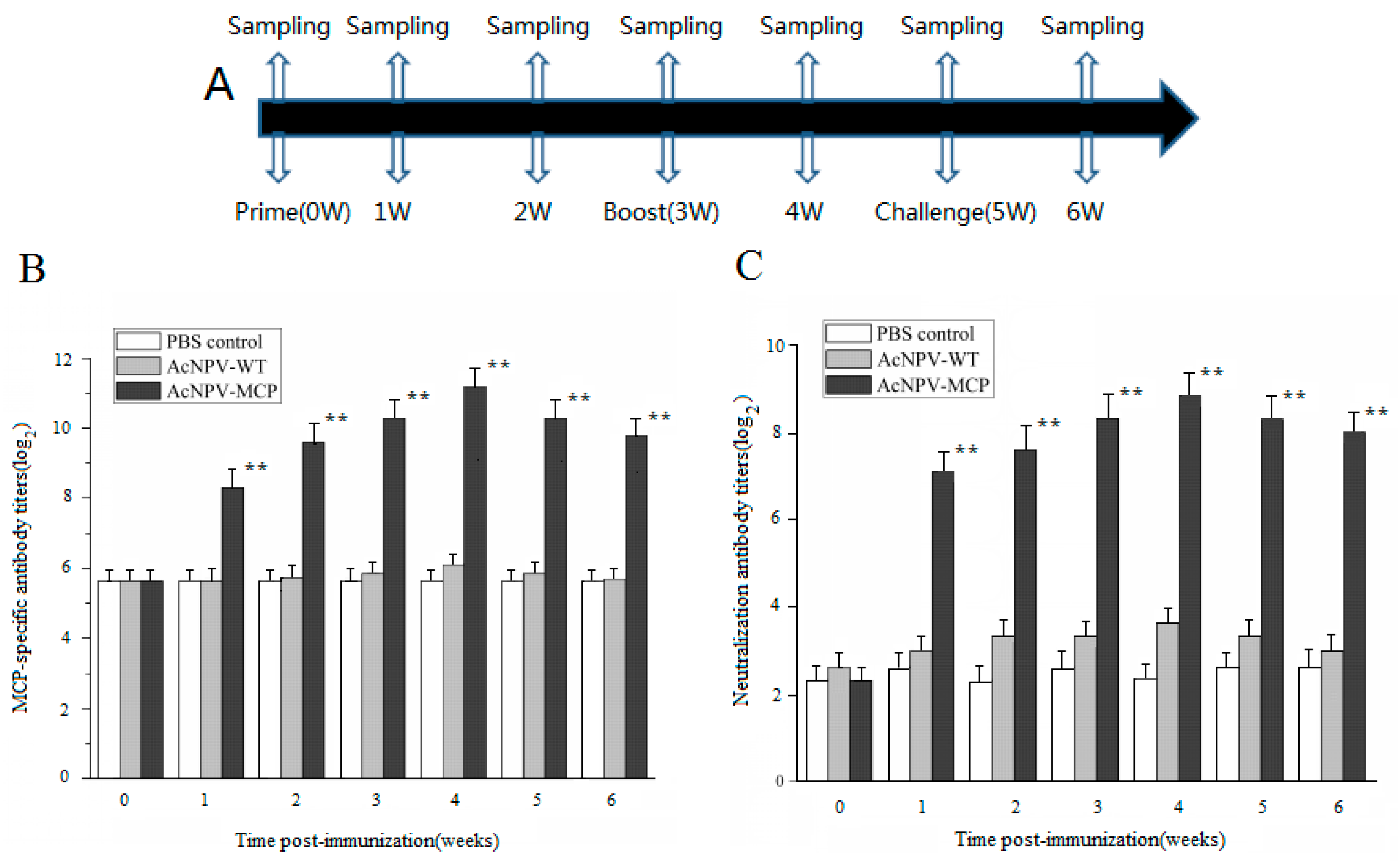 Viruses 09 00195 g002