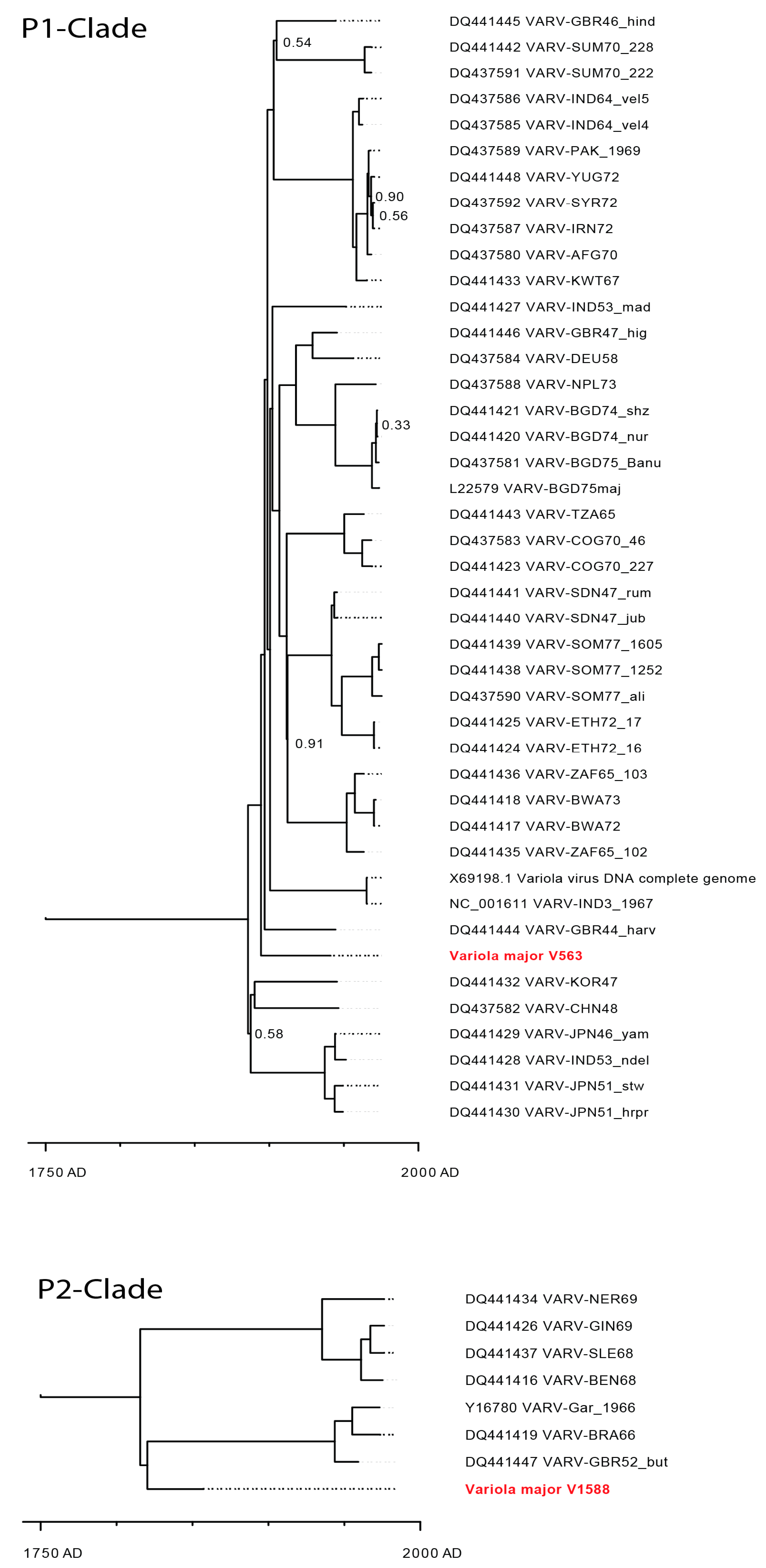 Viruses 09 00200 g005
