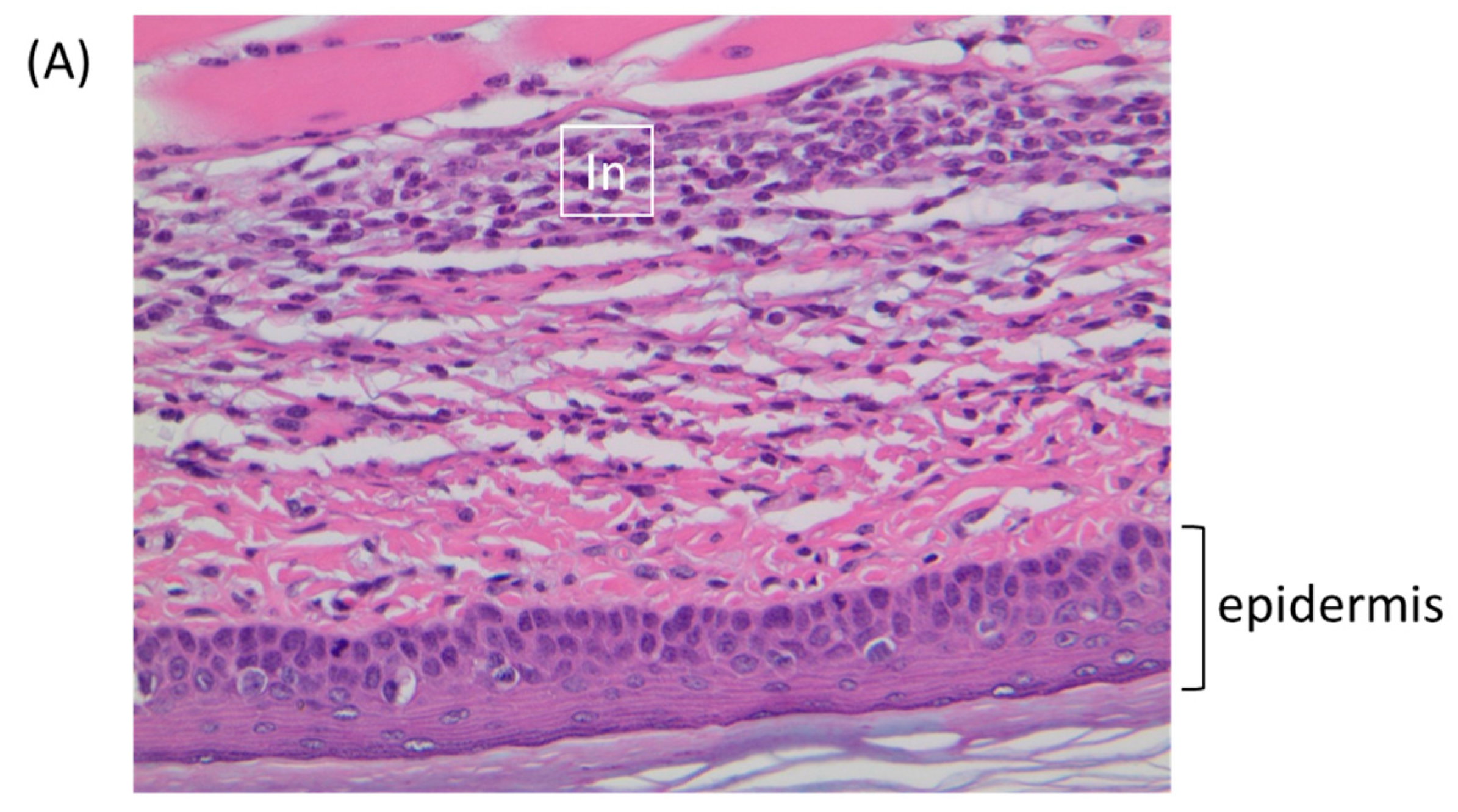 Viruses 09 00203 g005a