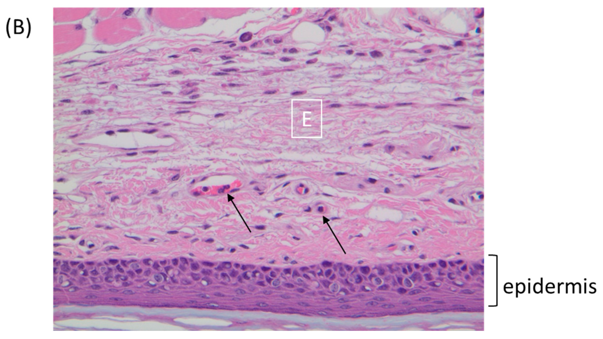 Viruses 09 00203 g005b