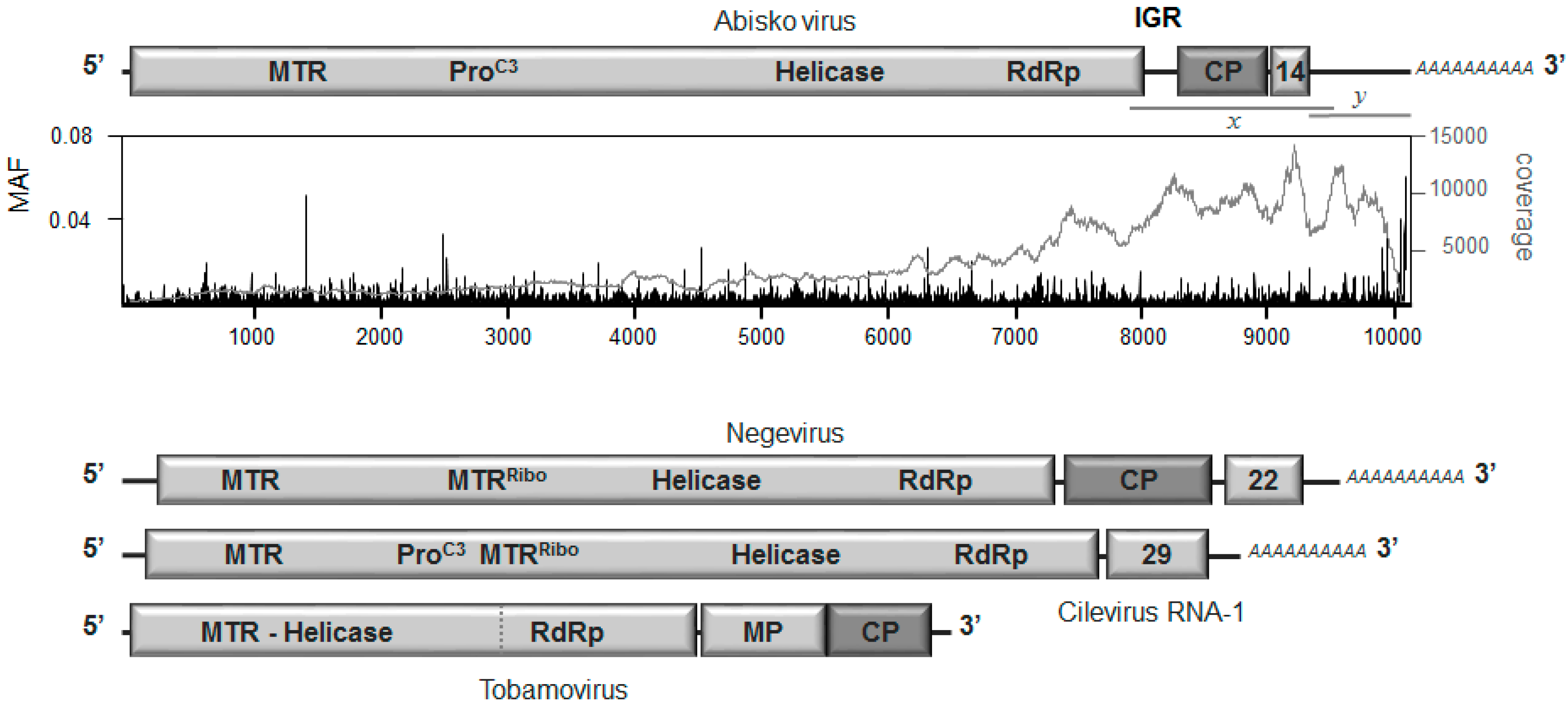 Viruses 09 00214 g001