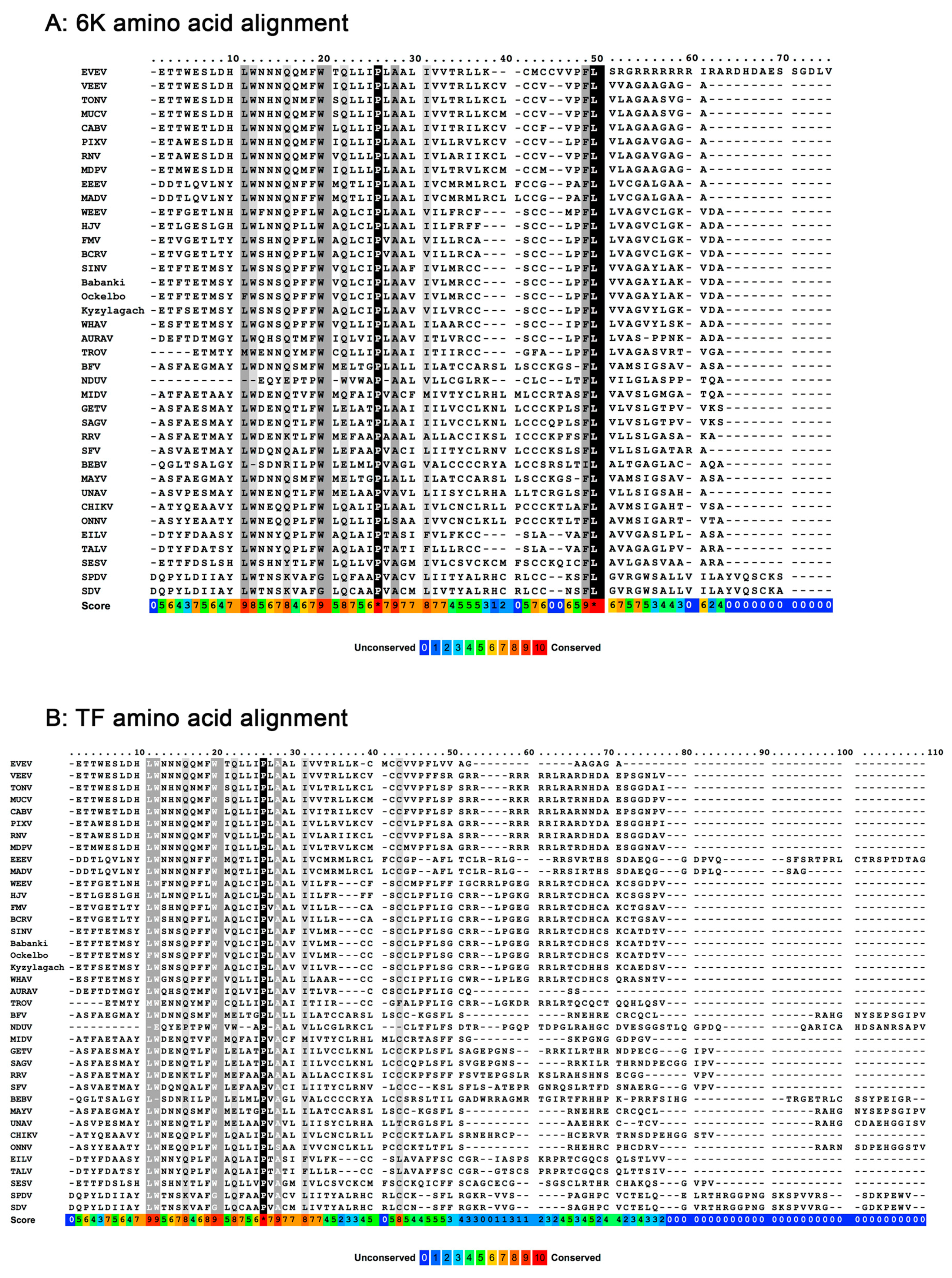 Viruses 09 00228 g002