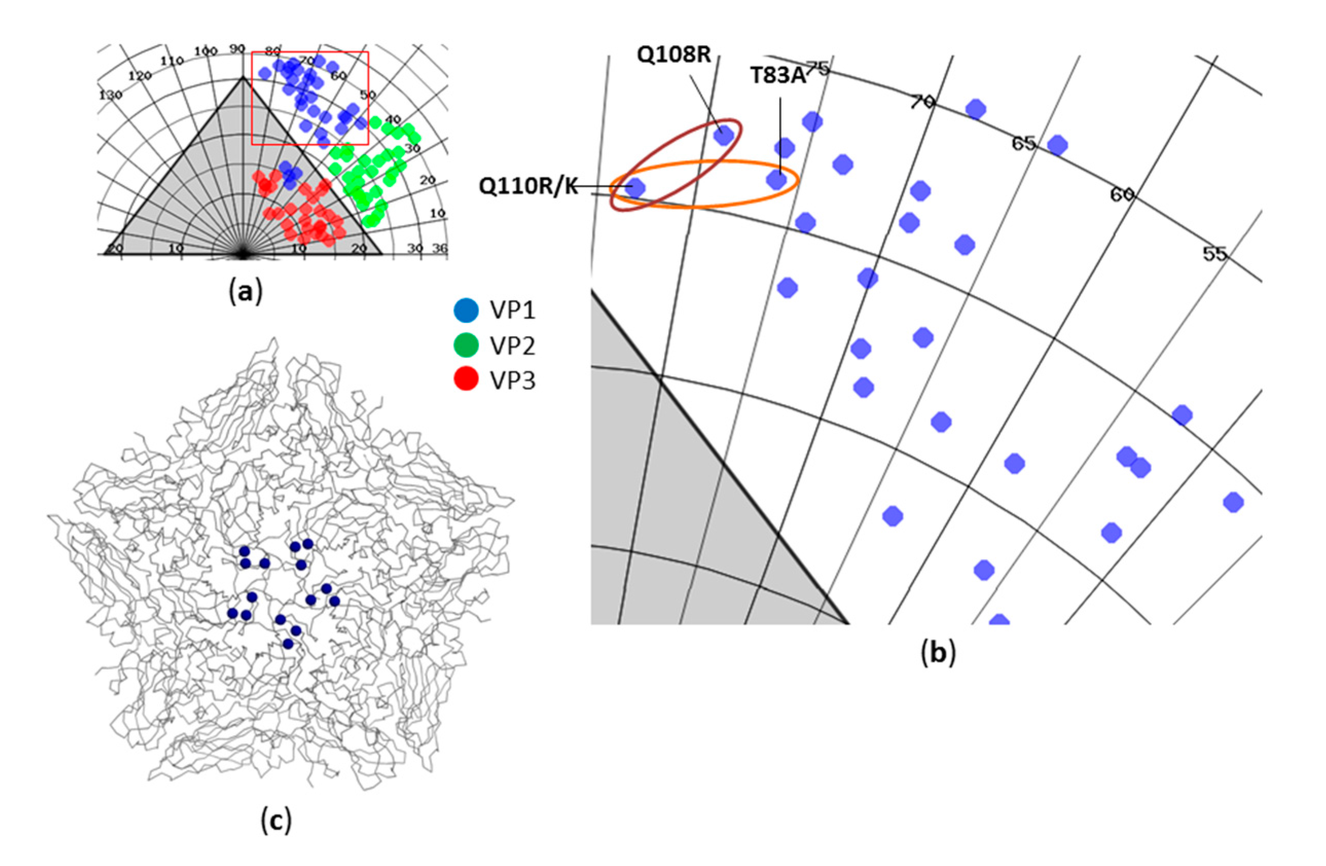 Viruses 09 00231 g006