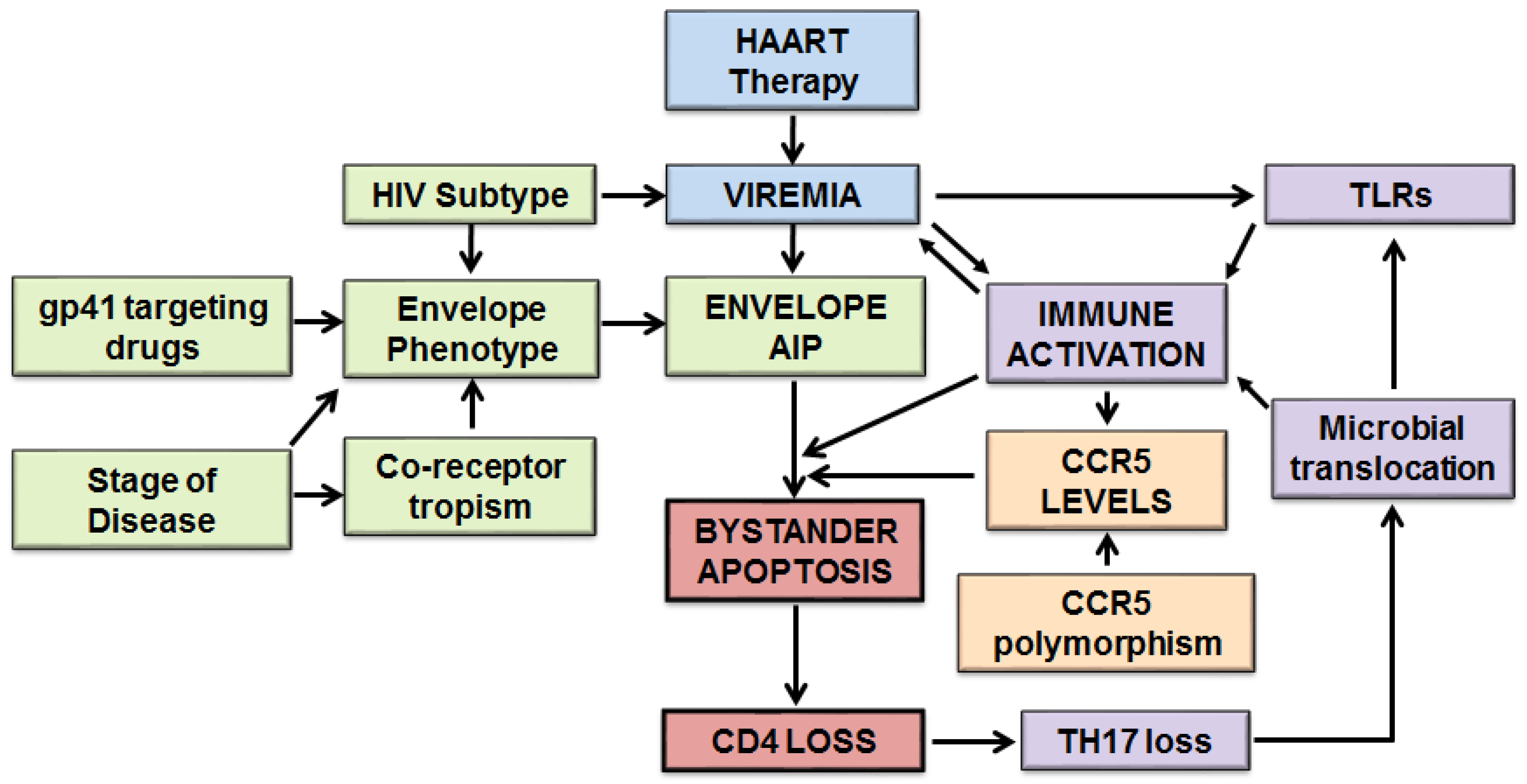 Viruses 09 00237 g001