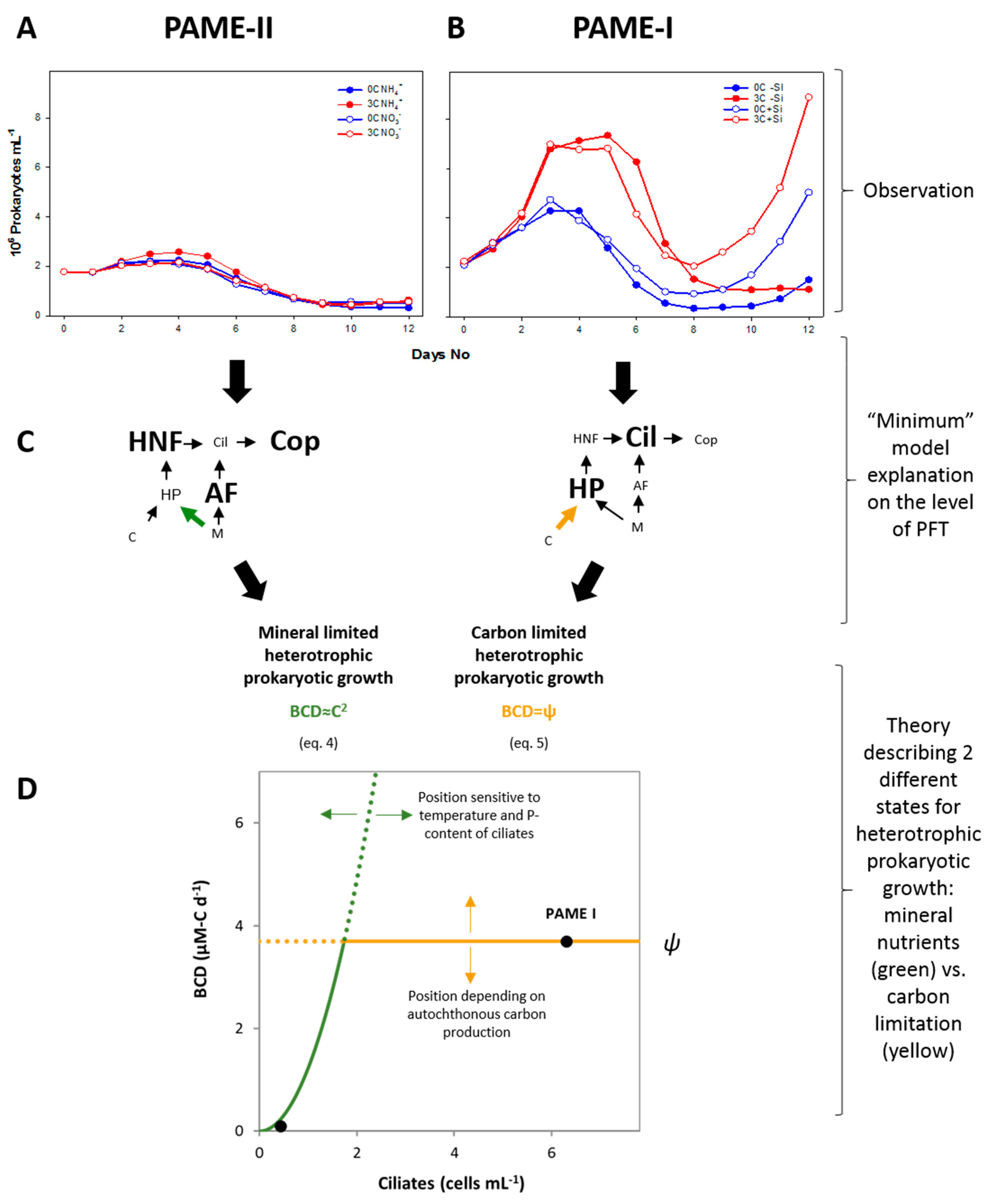 Viruses 09 00238 g001