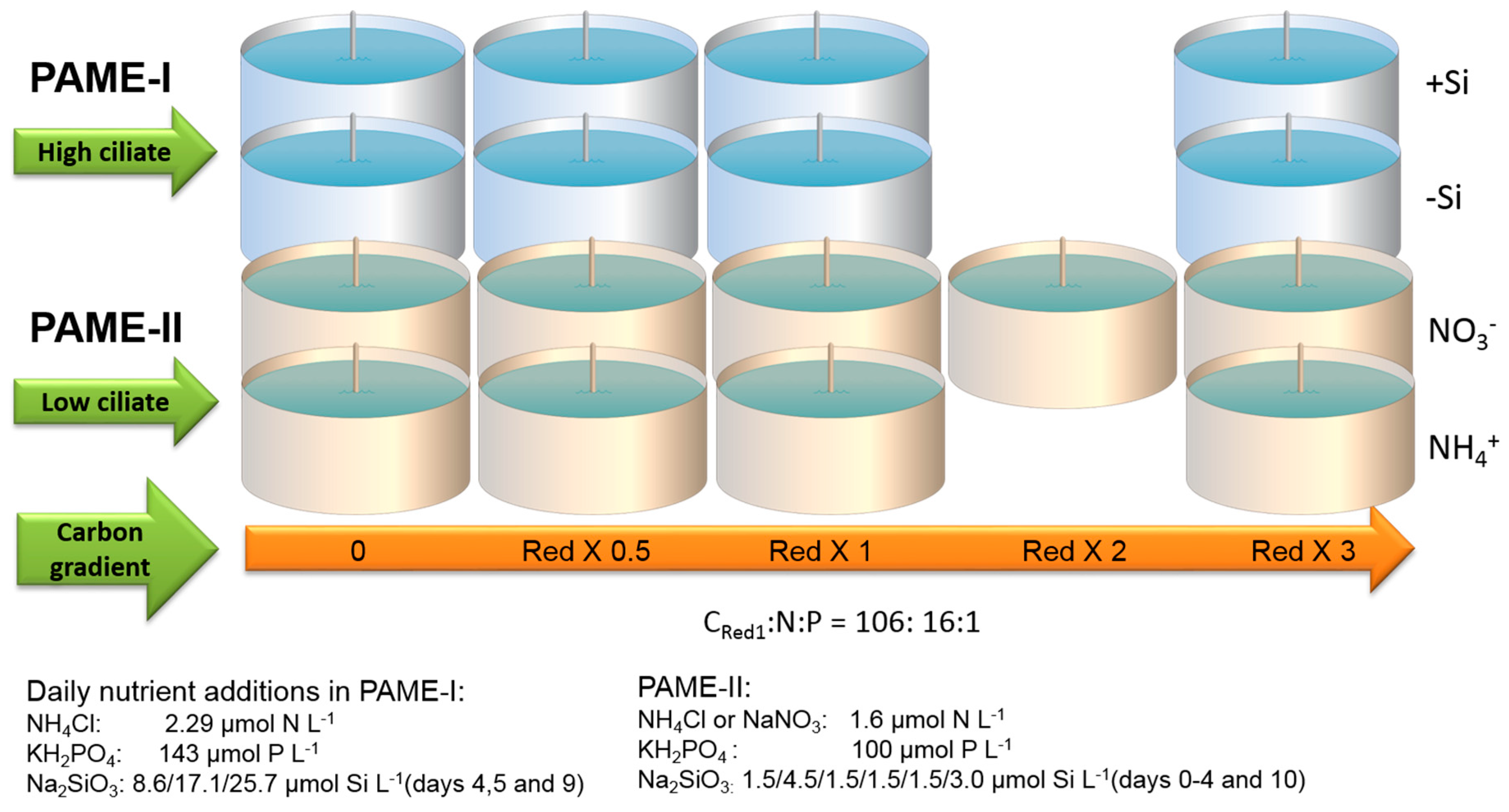 Viruses 09 00238 g002
