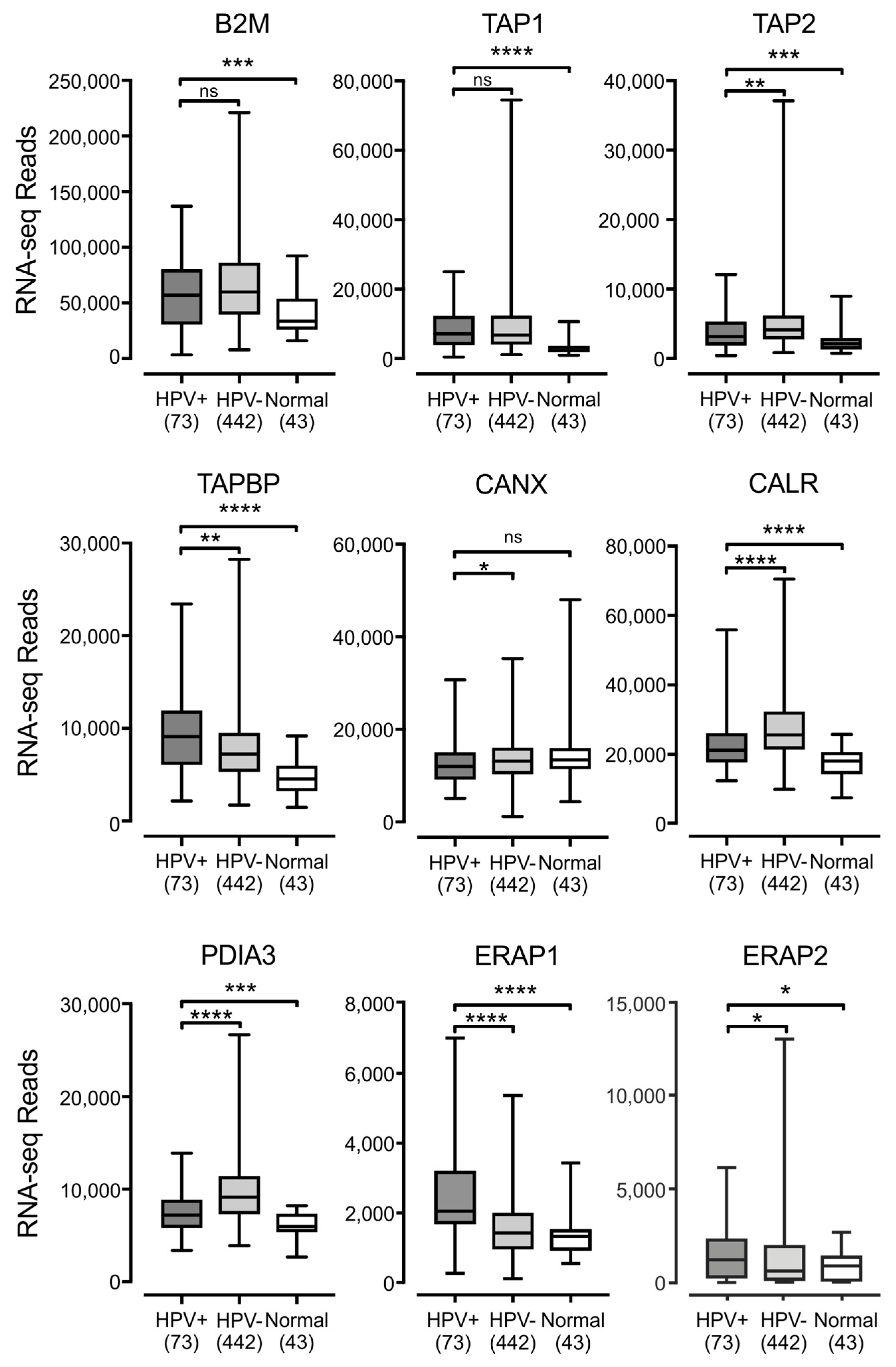 Viruses 09 00252 g003 Viruses 09 00252 g003